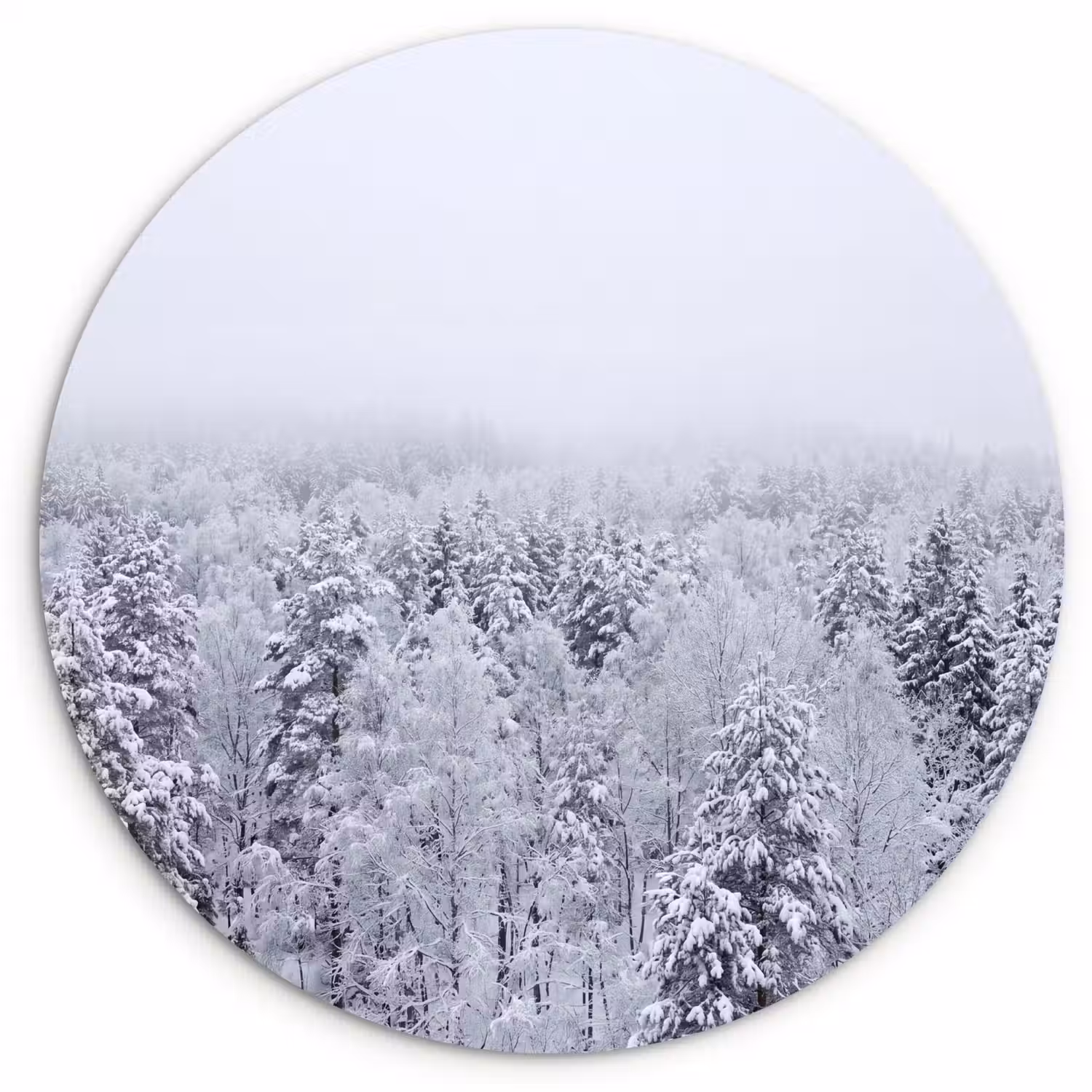 Bos - Sneeuw - Winter - Natuur - Wit Wandcirkel kunststof plaat 5mm dik klein -3d