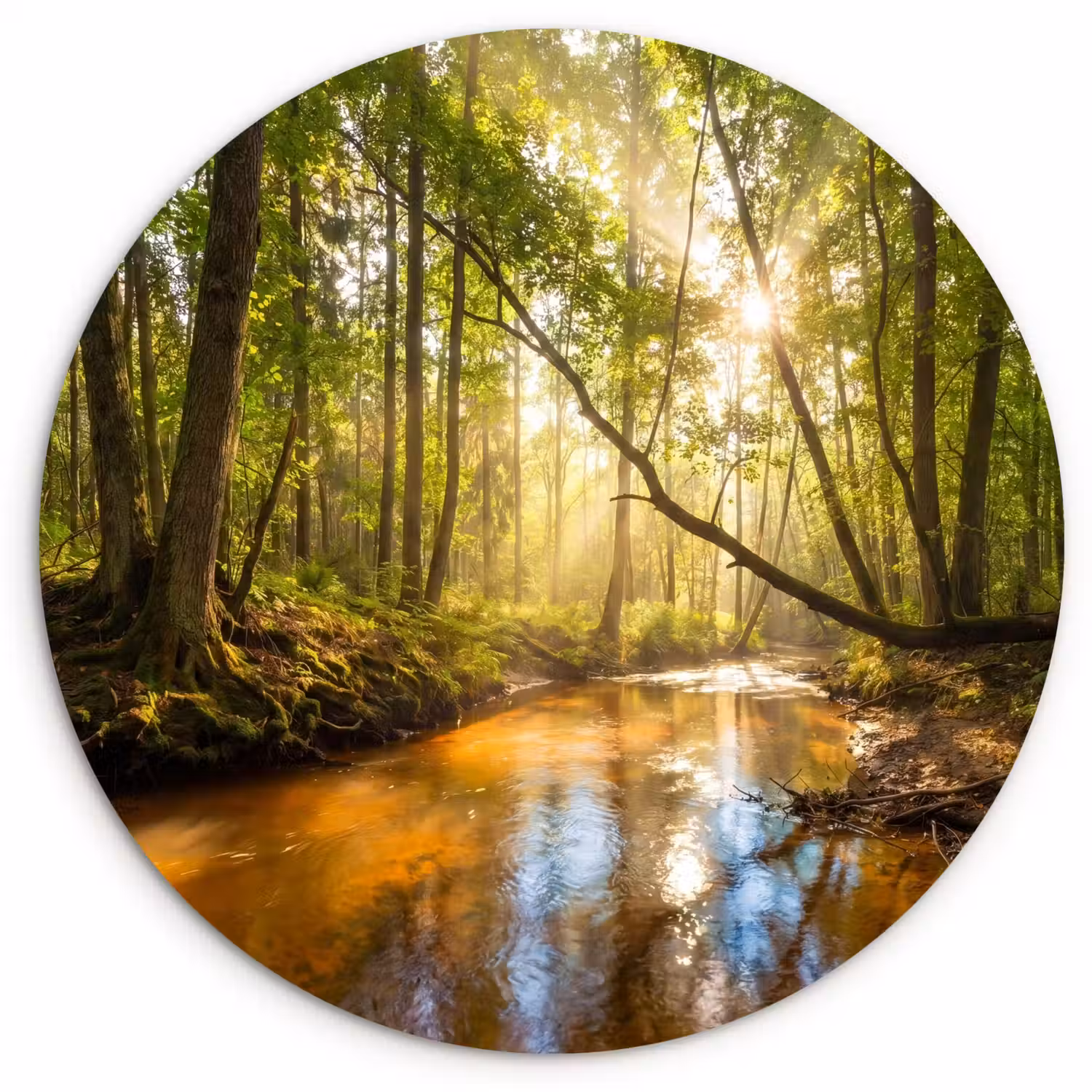 Bos - Beek - Zonlicht - Natuur - Groen Wandcirkel kunststof plaat 5mm dik klein -3d