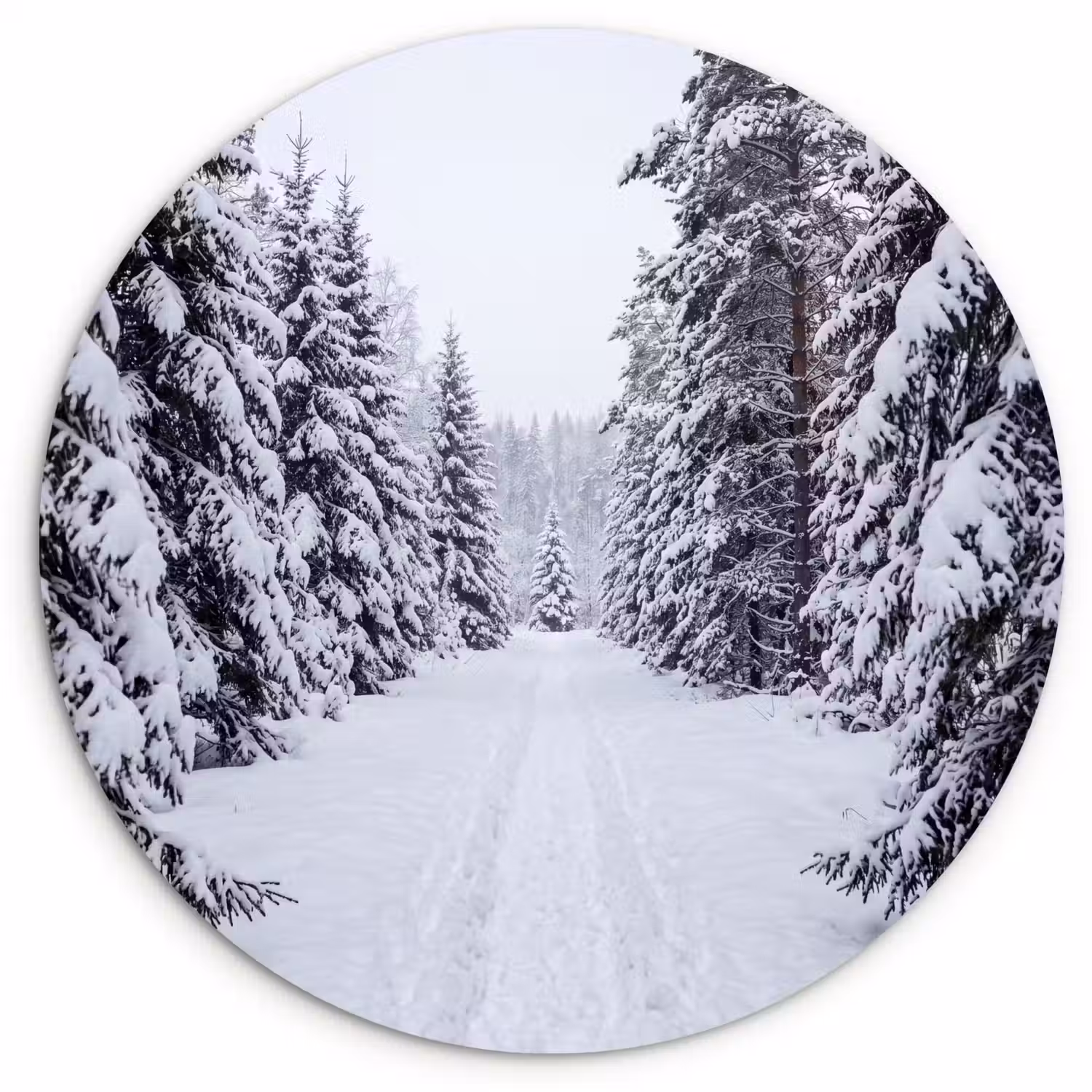 Bos - Winter - Sneeuw - Pad - Natuur Wandcirkel kunststof plaat 5mm dik klein -3d