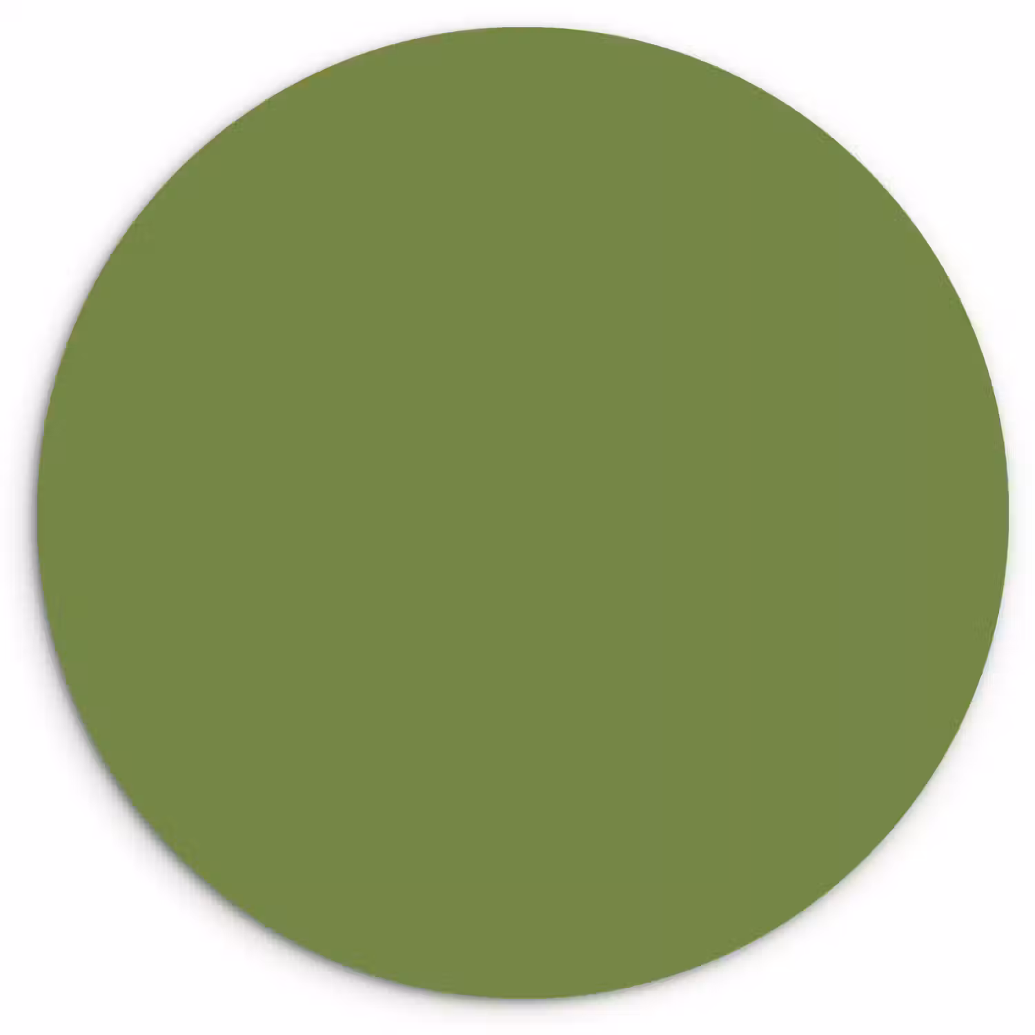 Moss - Green - Groen Wandcirkel kunststof plaat 5mm dik klein 188 -3d