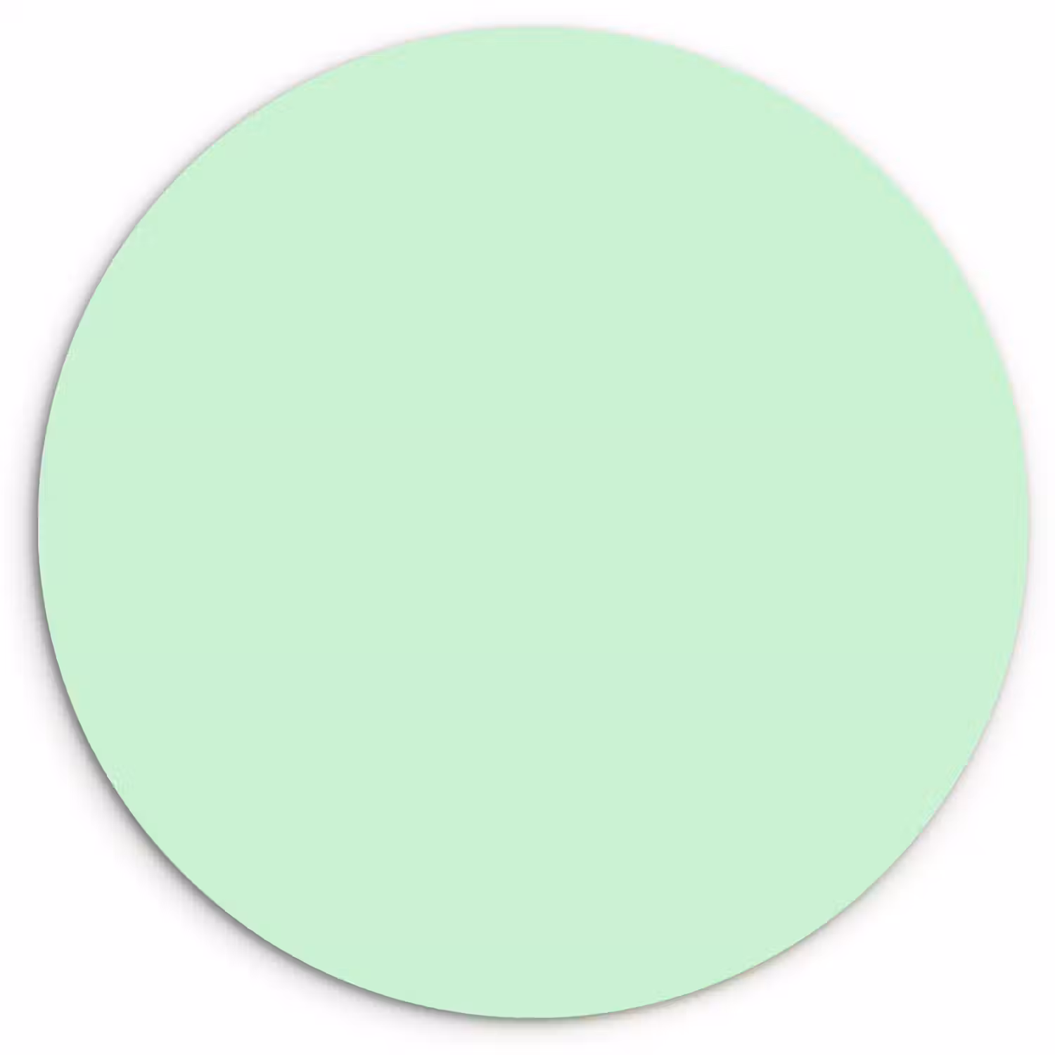 Pale - Mint - Groen Wandcirkel kunststof plaat 5mm dik klein 188 -3d