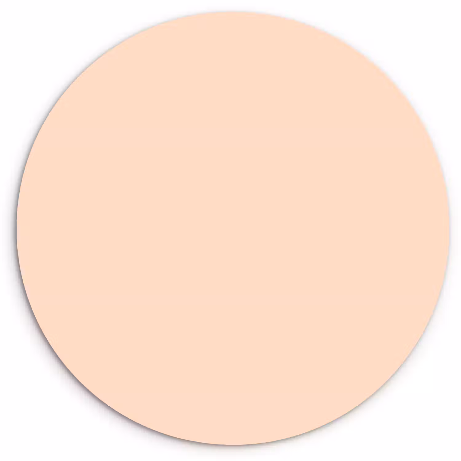 Pale - Peach - Nude Wandcirkel kunststof plaat 5mm dik klein 188 -3d