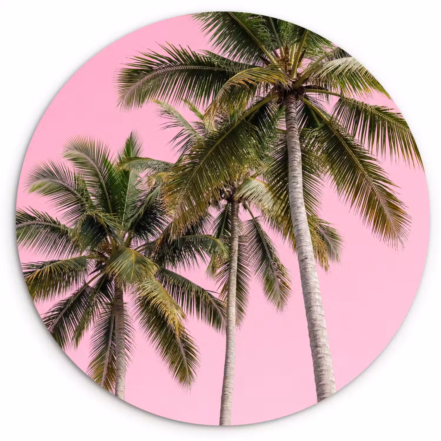 Palmboom - Tropisch - Pink Wandcirkel kunststof plaat 5mm dik klein -3d