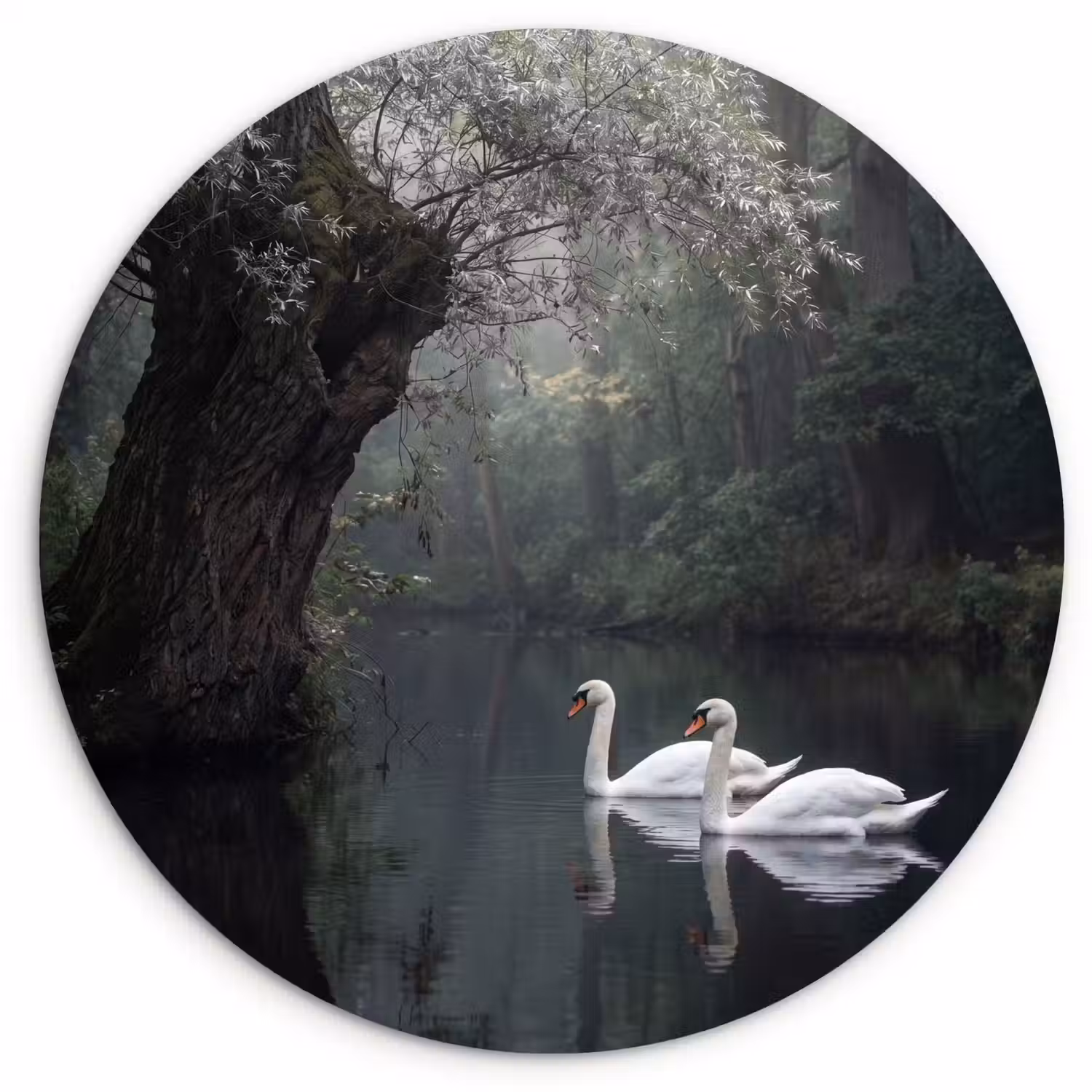 Zwanen - Rivier - Bos Wandcirkel kunststof plaat 5mm dik klein -3d