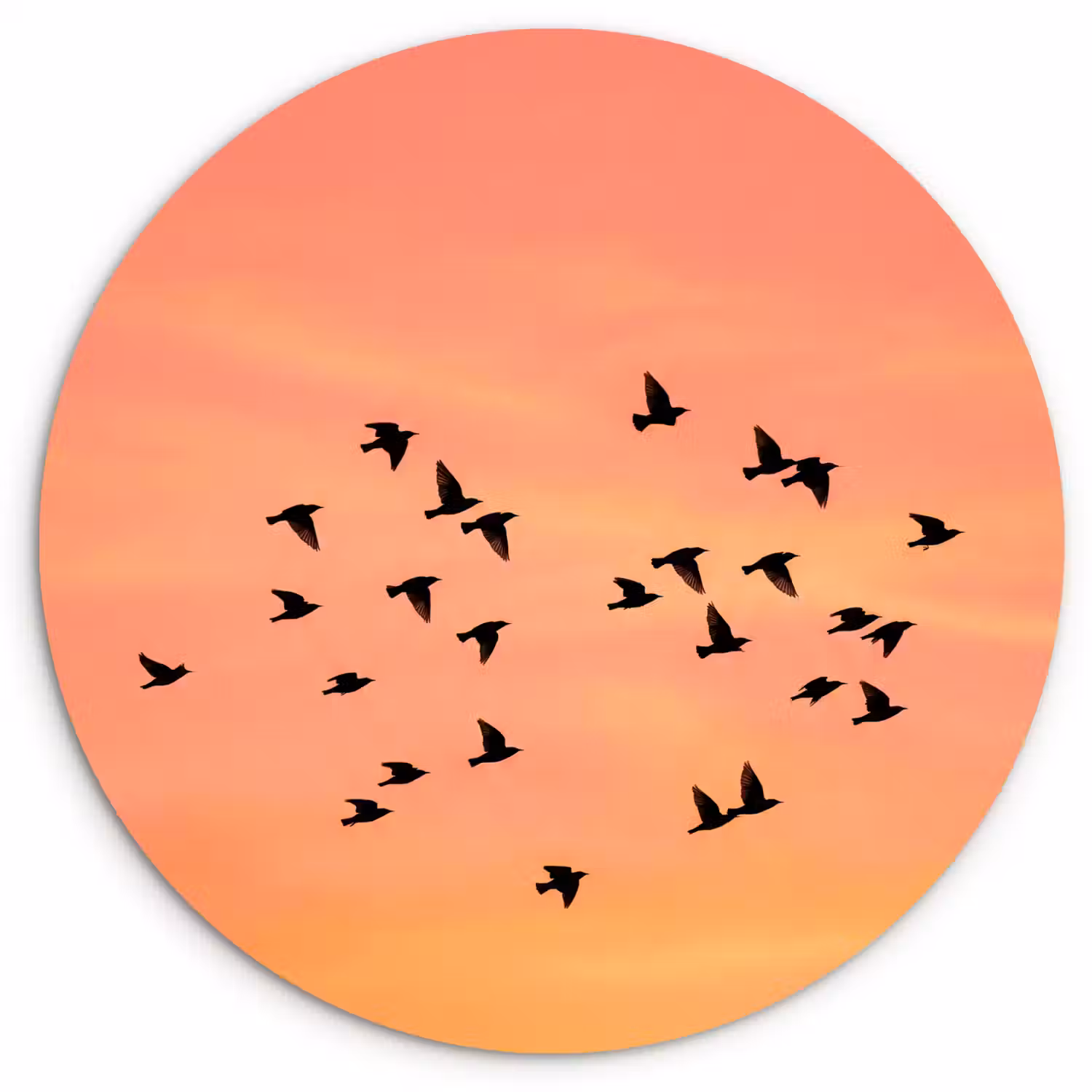 Zwerm - Vogels - Oranje Wandcirkel kunststof plaat 5mm dik klein -3d