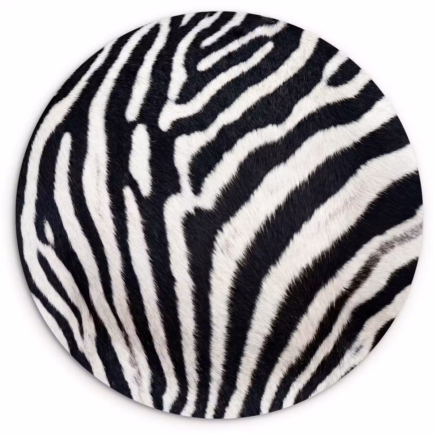 Zebra - Vacht - Klassiek - Zwart - Wit Wandcirkel kunststof plaat 5mm dik klein -3d