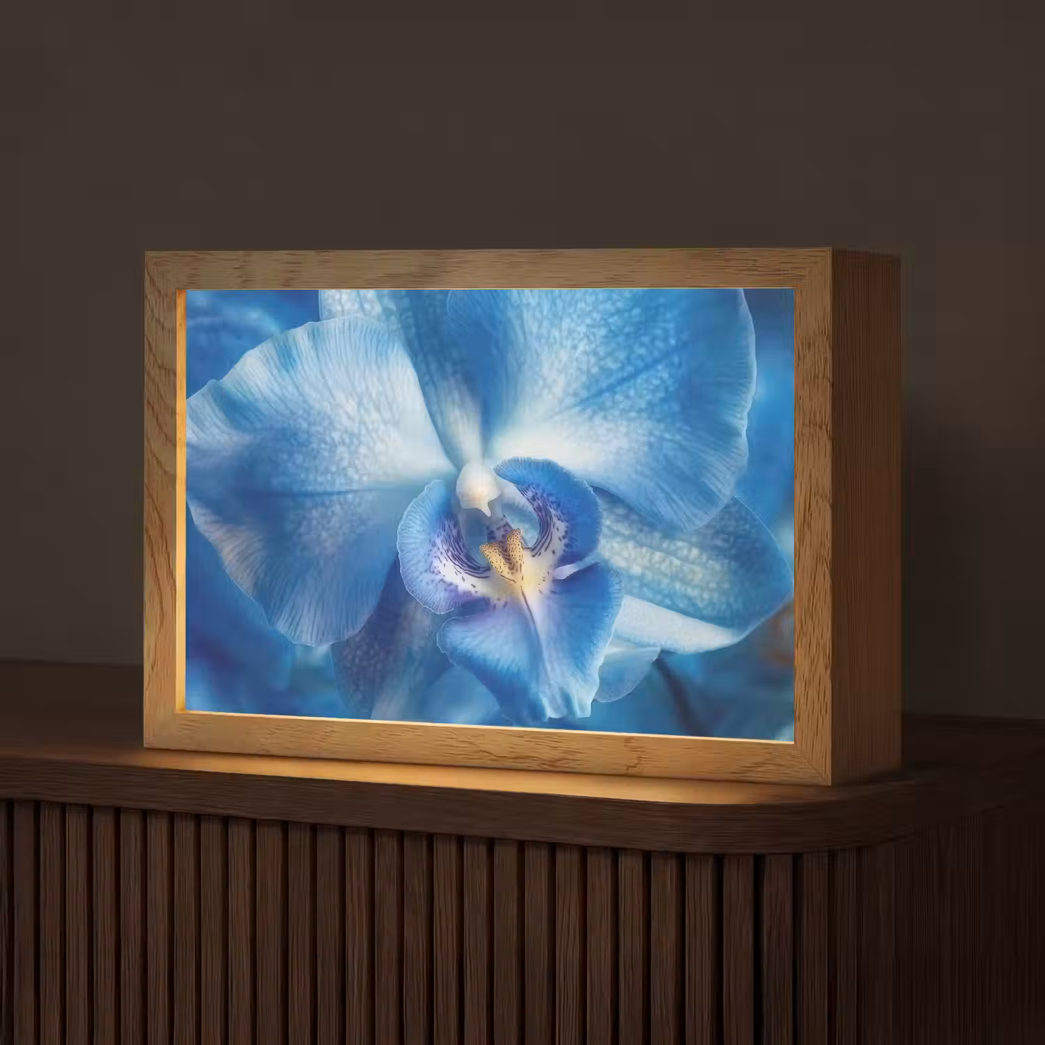 Blauw - Orchidee - Elegeant Light Box met kabel (Tafellamp) klein -z3d_website