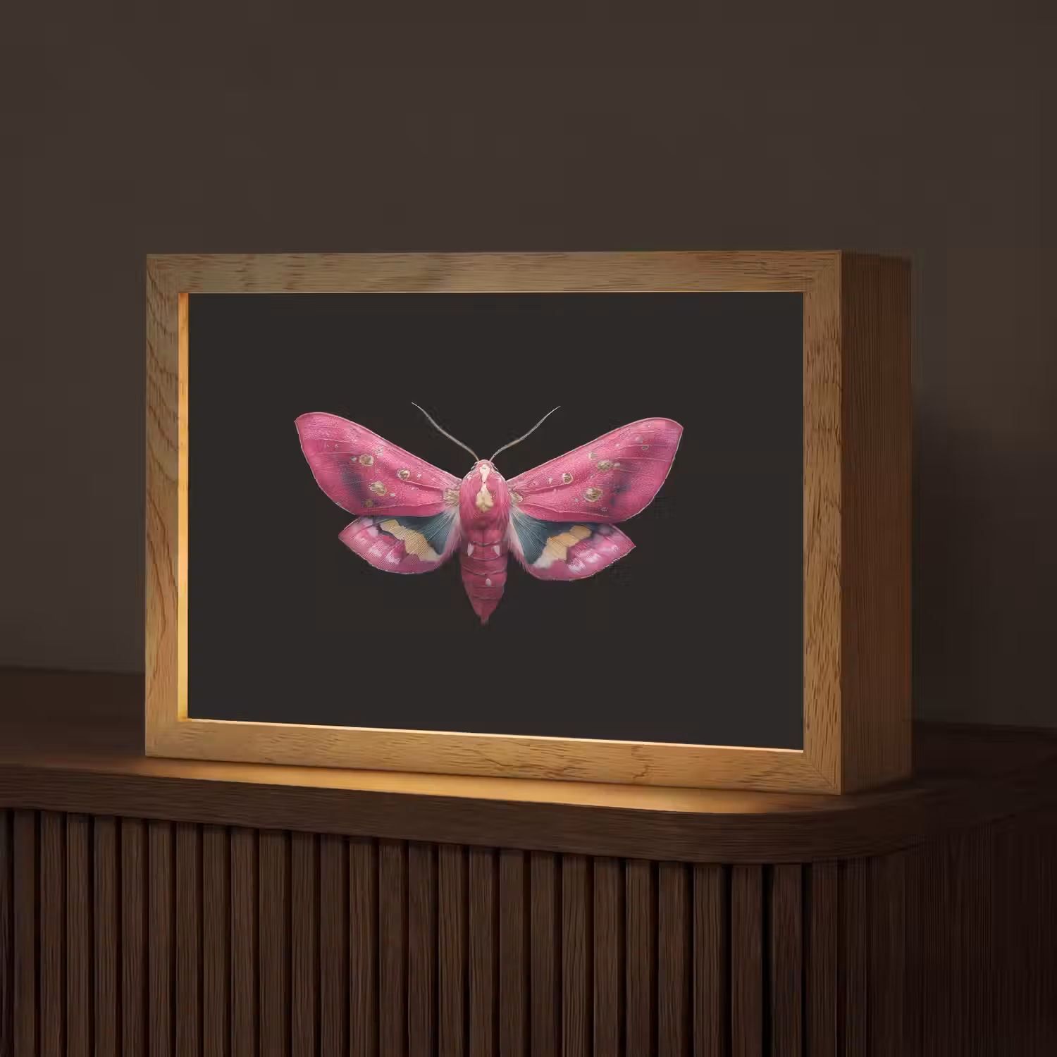 Vlinder - Roze - Nachtvlinder Light Box met kabel (Tafellamp) klein -z3d_website
