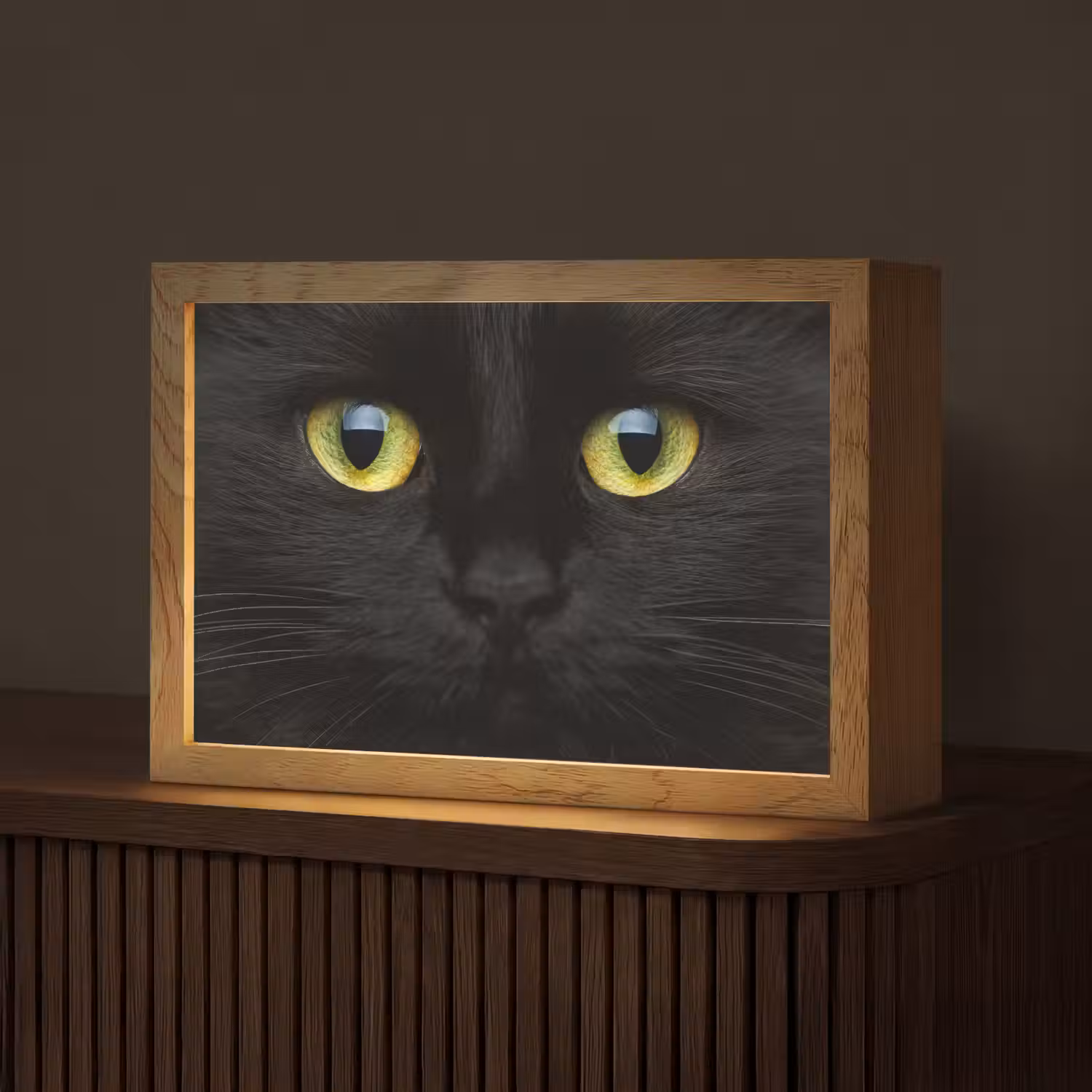 Kat - Zwart - Dieren - Natuur Light Box met kabel (Tafellamp) klein -z3d_website