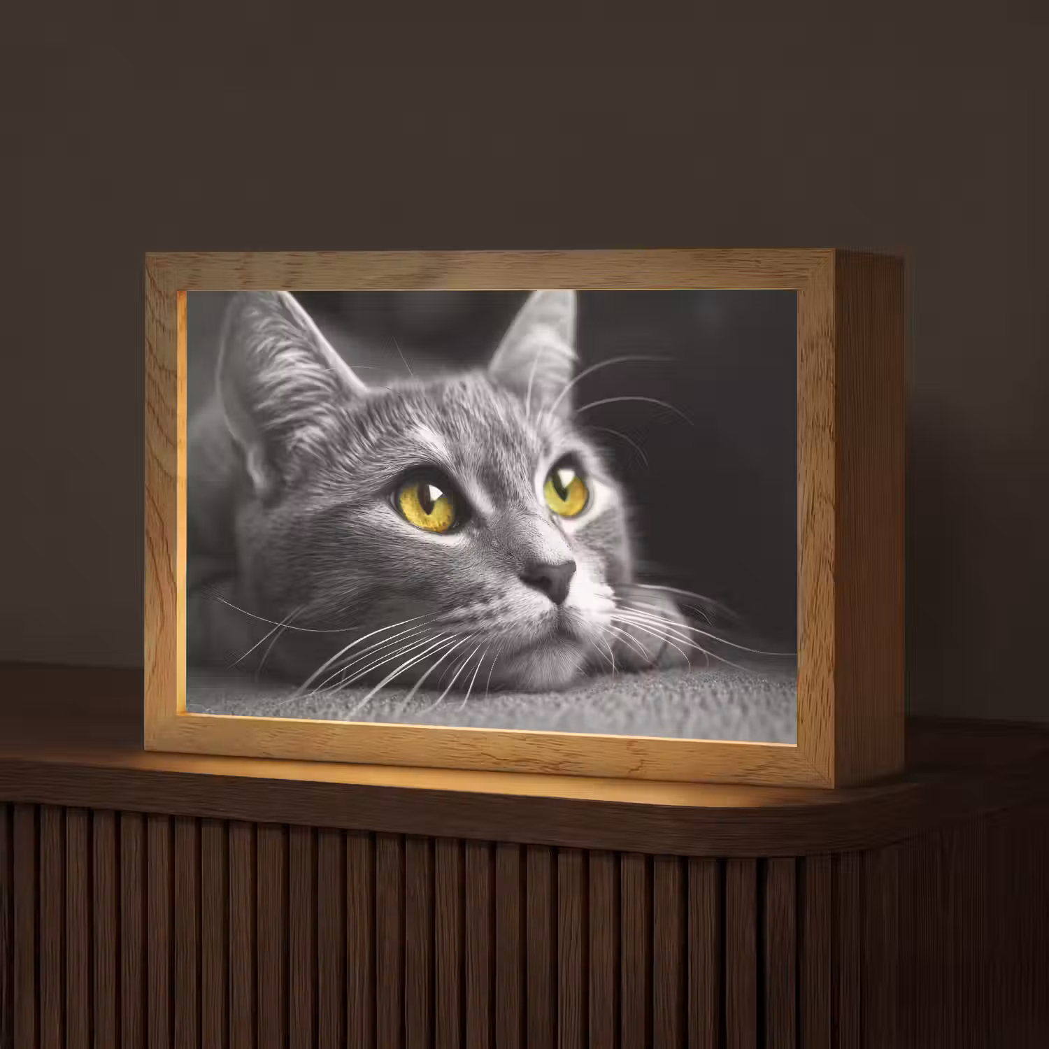 Kat - Zwart - Wit - Dieren - Natuur Light Box met kabel (Tafellamp) klein -z3d_website