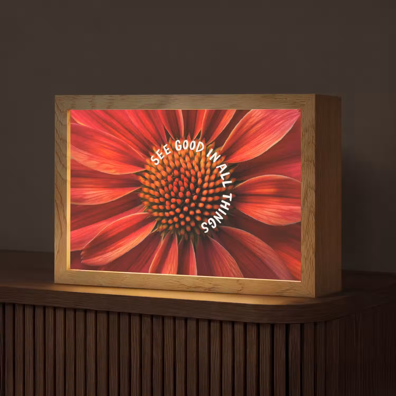 Close up - Bloem - Quote - Rood Light Box met kabel (Tafellamp) klein -z3d_website