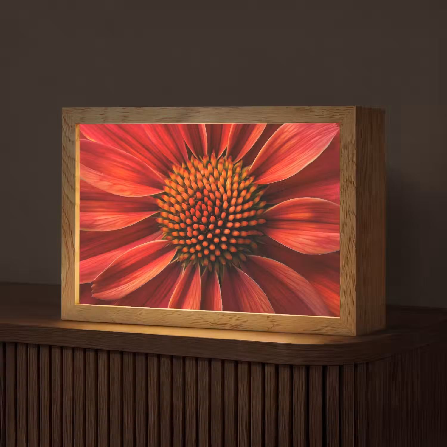 Close up - Bloem- Rood Light Box met kabel (Tafellamp) klein -z3d_website