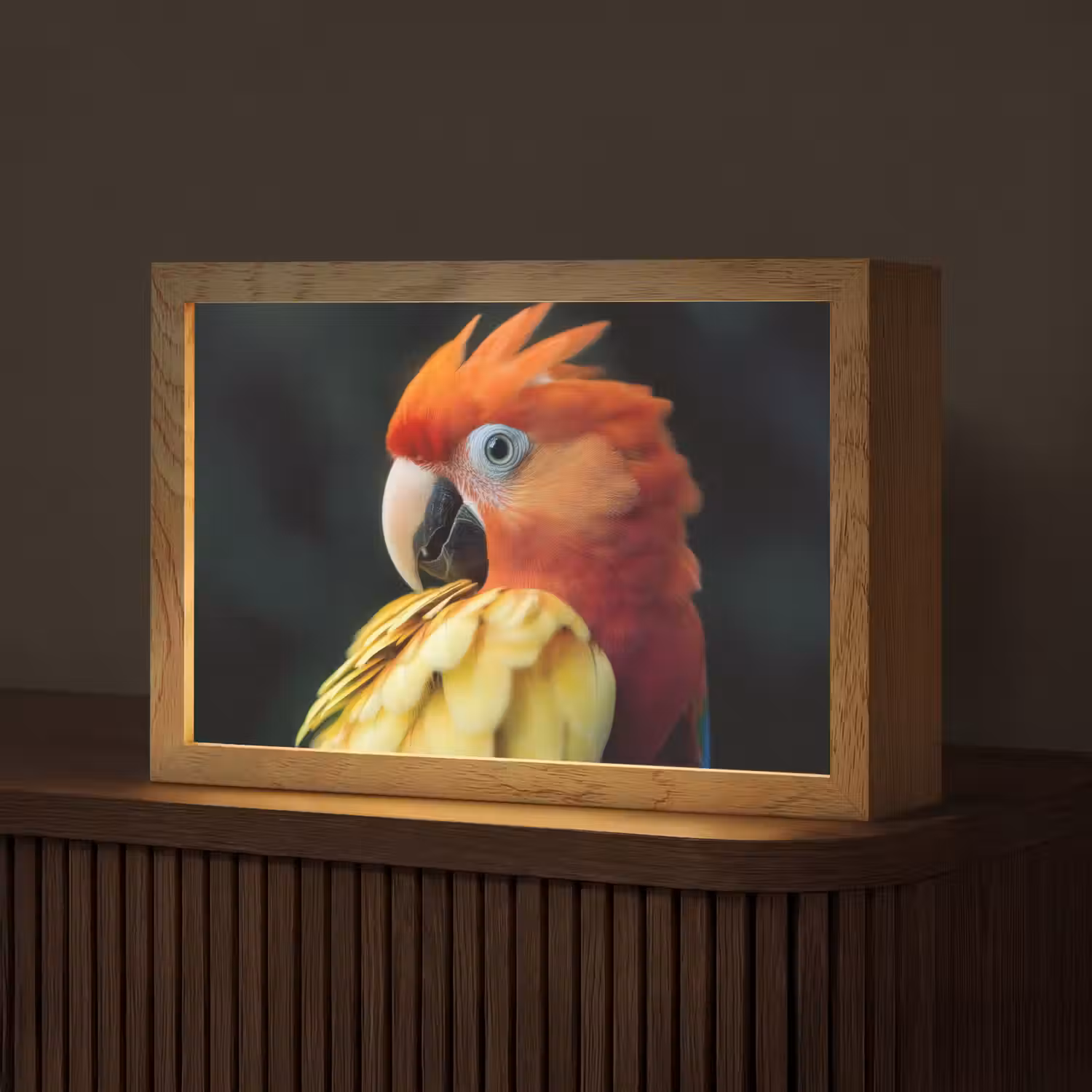Close-up - Papegaai - Veren - Oranje Light Box met kabel (Tafellamp) klein -z3d_website