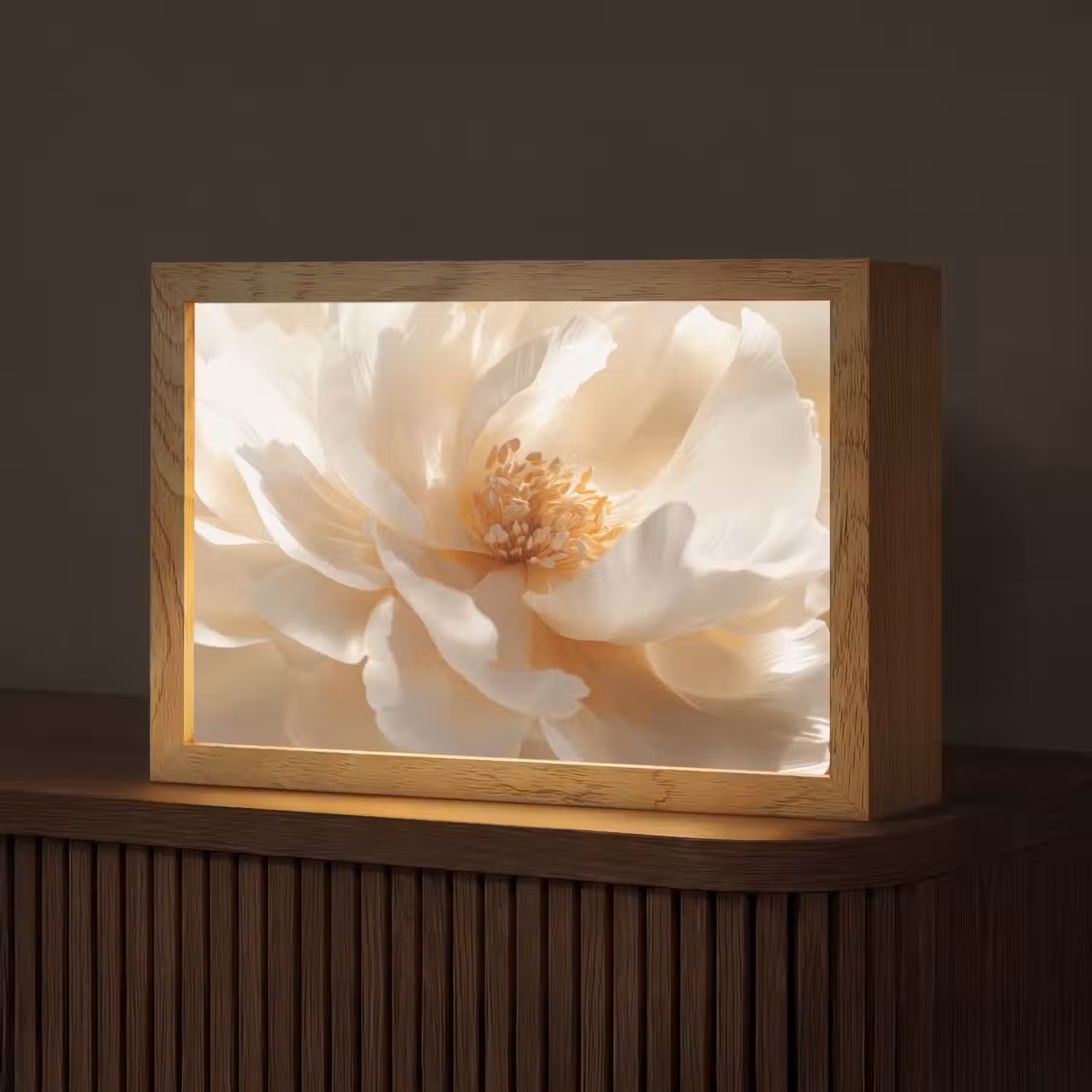 Close up - Pioenroos - Wit Light Box met kabel (Tafellamp) klein -z3d_website