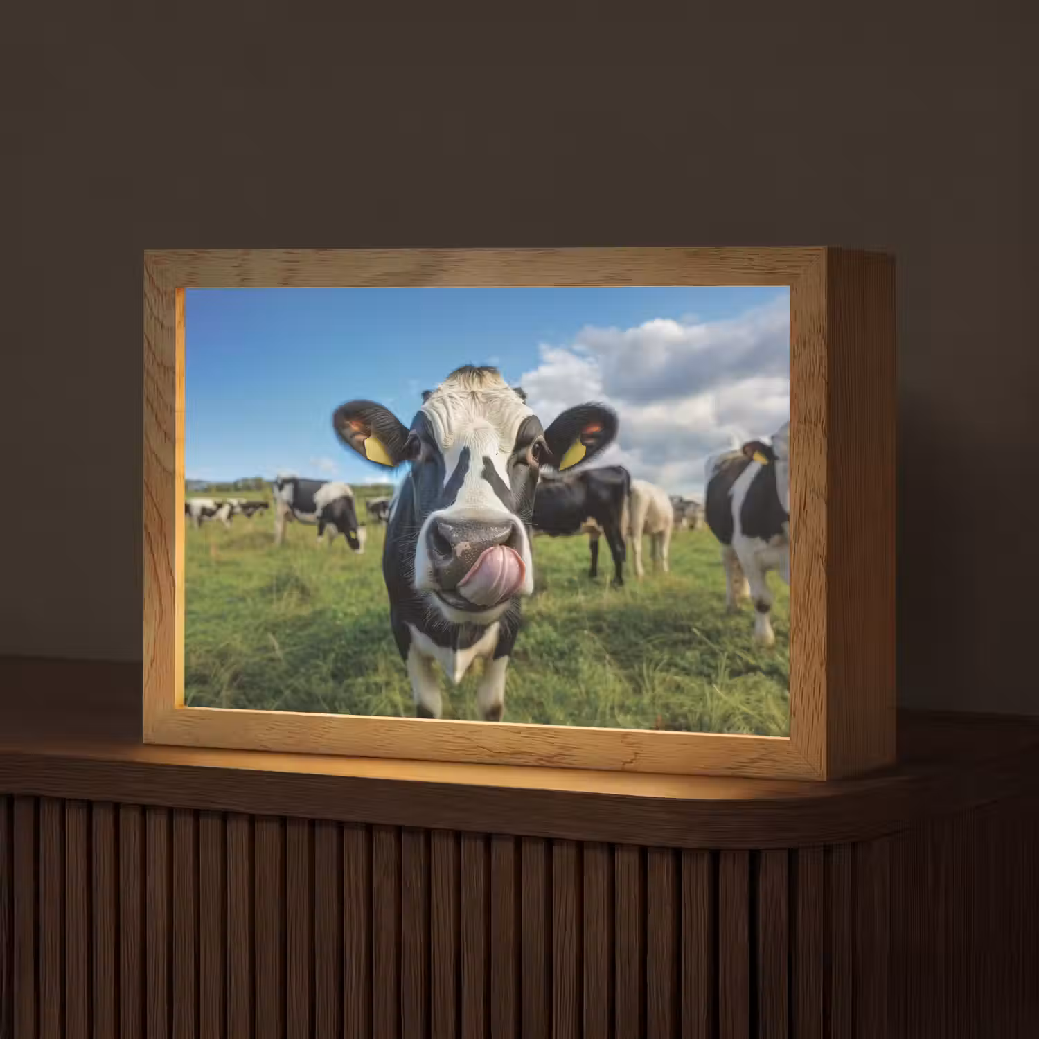 Koe - Tong - Weide Light Box met kabel (Tafellamp) klein -z3d_website