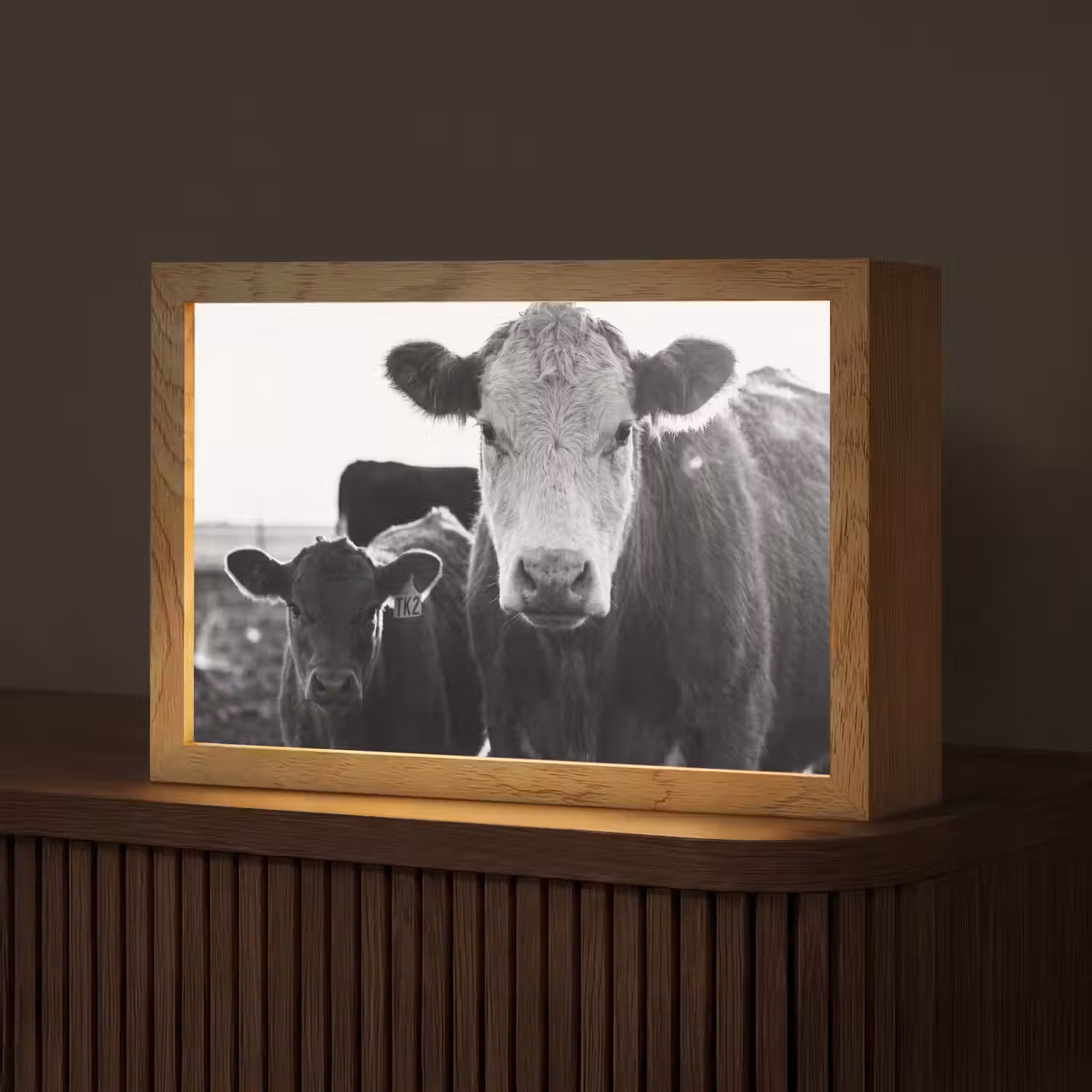 Koeien - Zwart - Wit Light Box met kabel (Tafellamp) klein -z3d_website