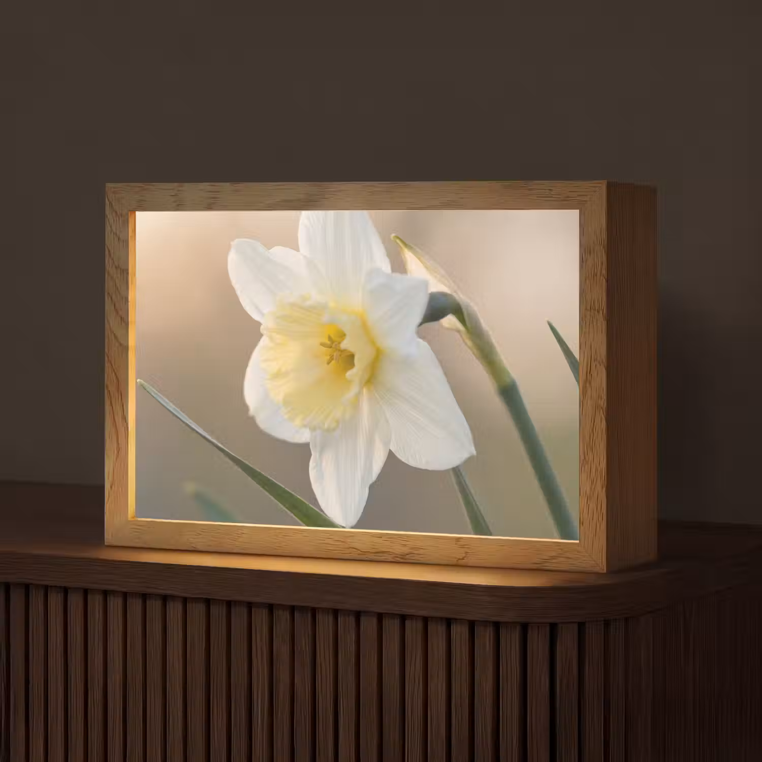 Narcis - Bloem - Minimalistisch Light Box met kabel (Tafellamp) klein -z3d_website