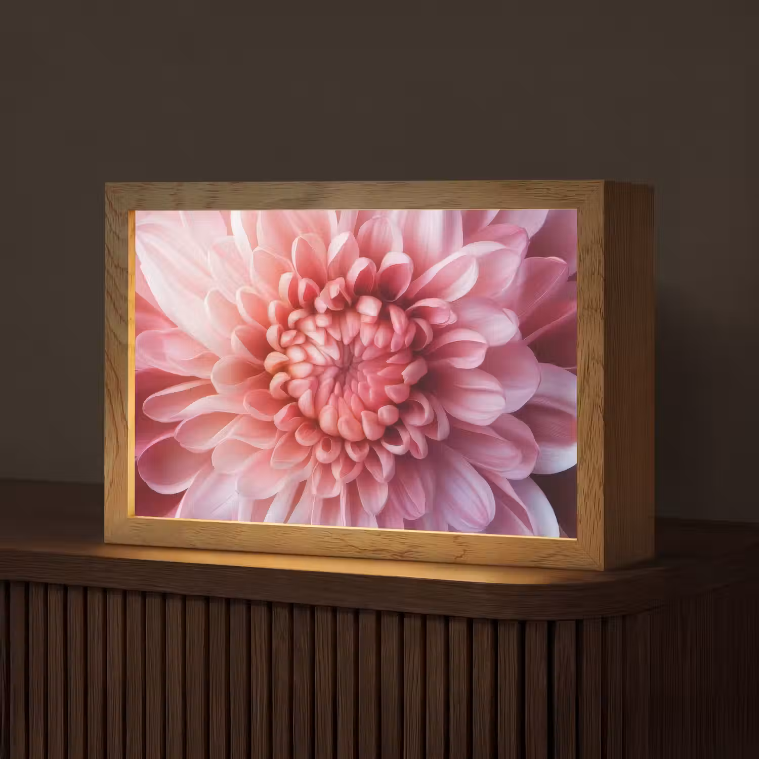 Dahlia - Bloem - Close up - Roze Light Box met kabel (Tafellamp) klein -z3d_website