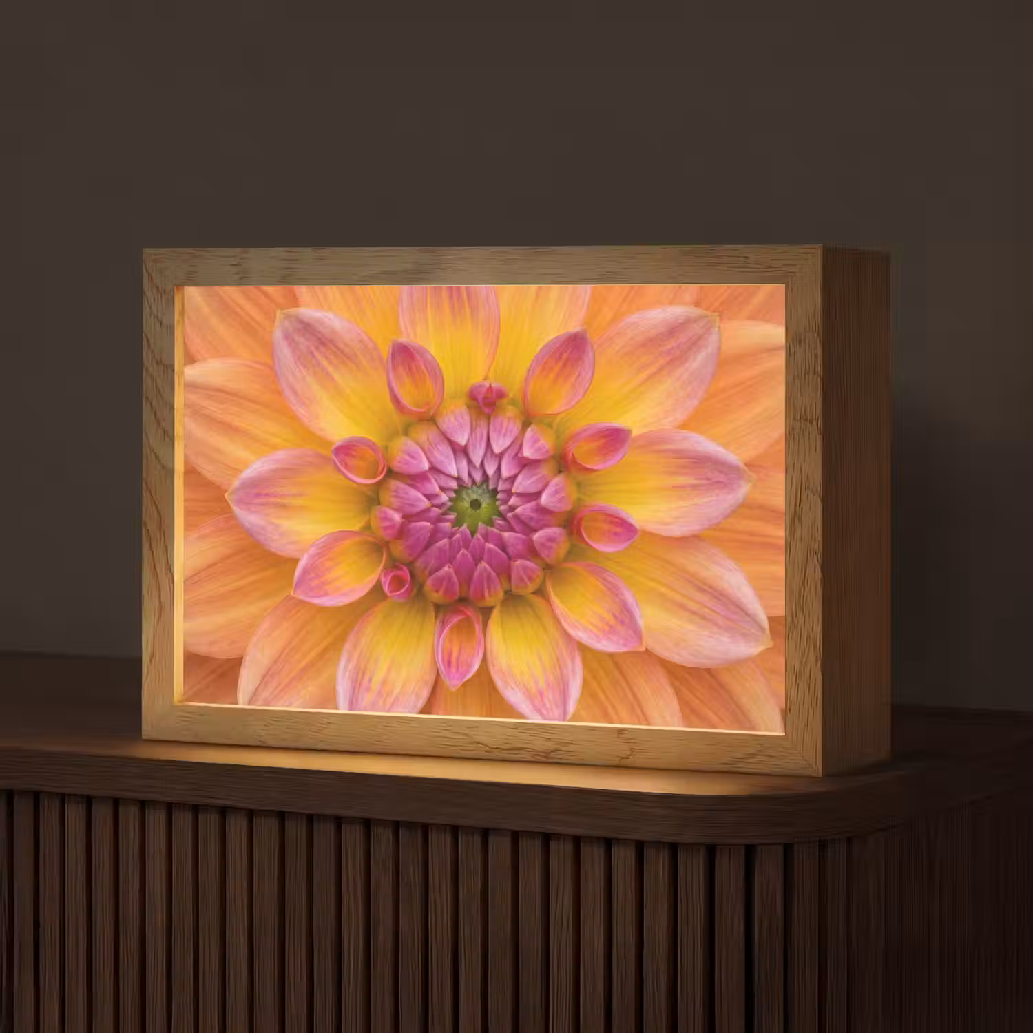 Dahlia - Bloem - Oranje Light Box met kabel (Tafellamp) klein -z3d_website