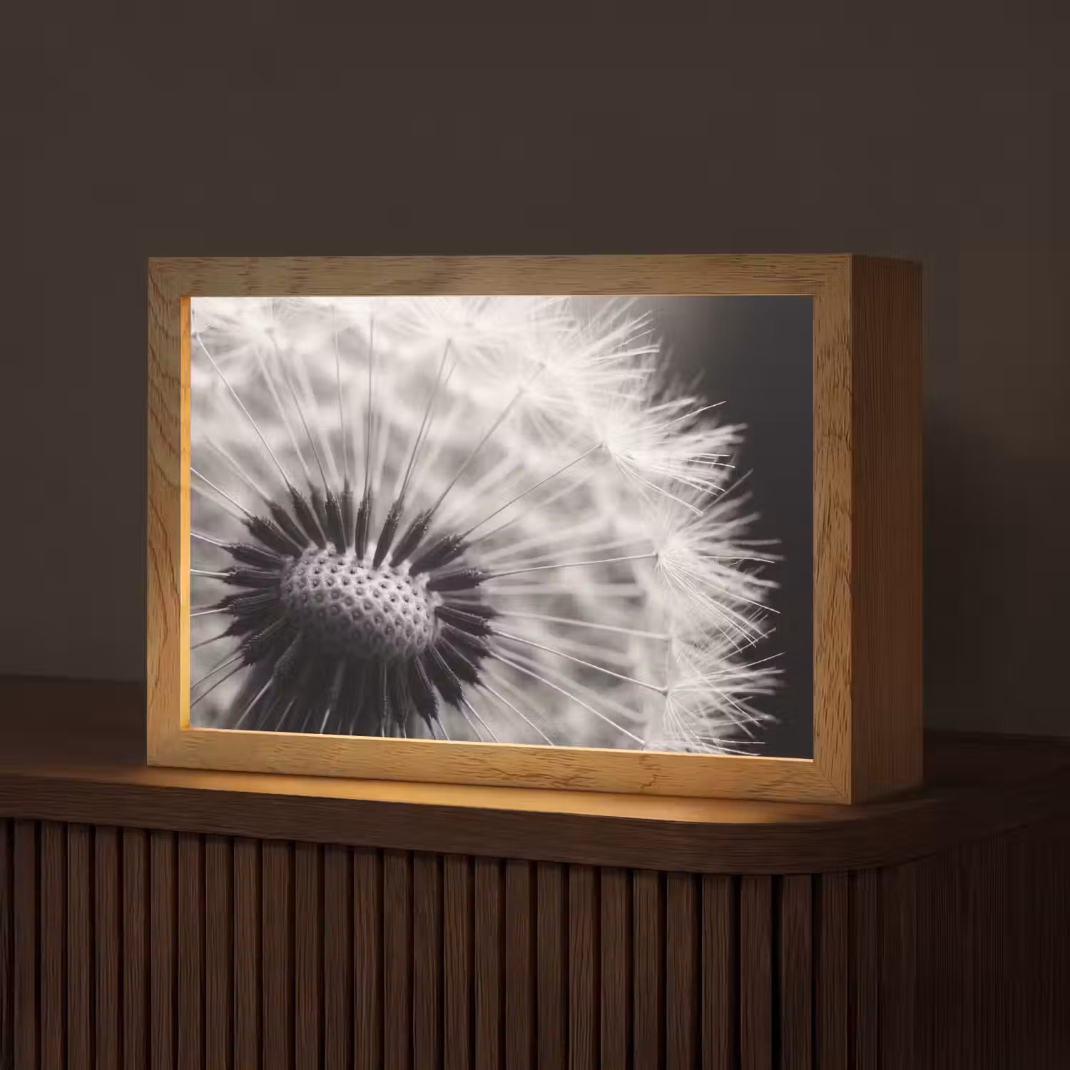 Paardenbloem - Zwart - Wit Light Box met kabel (Tafellamp) klein -z3d_website