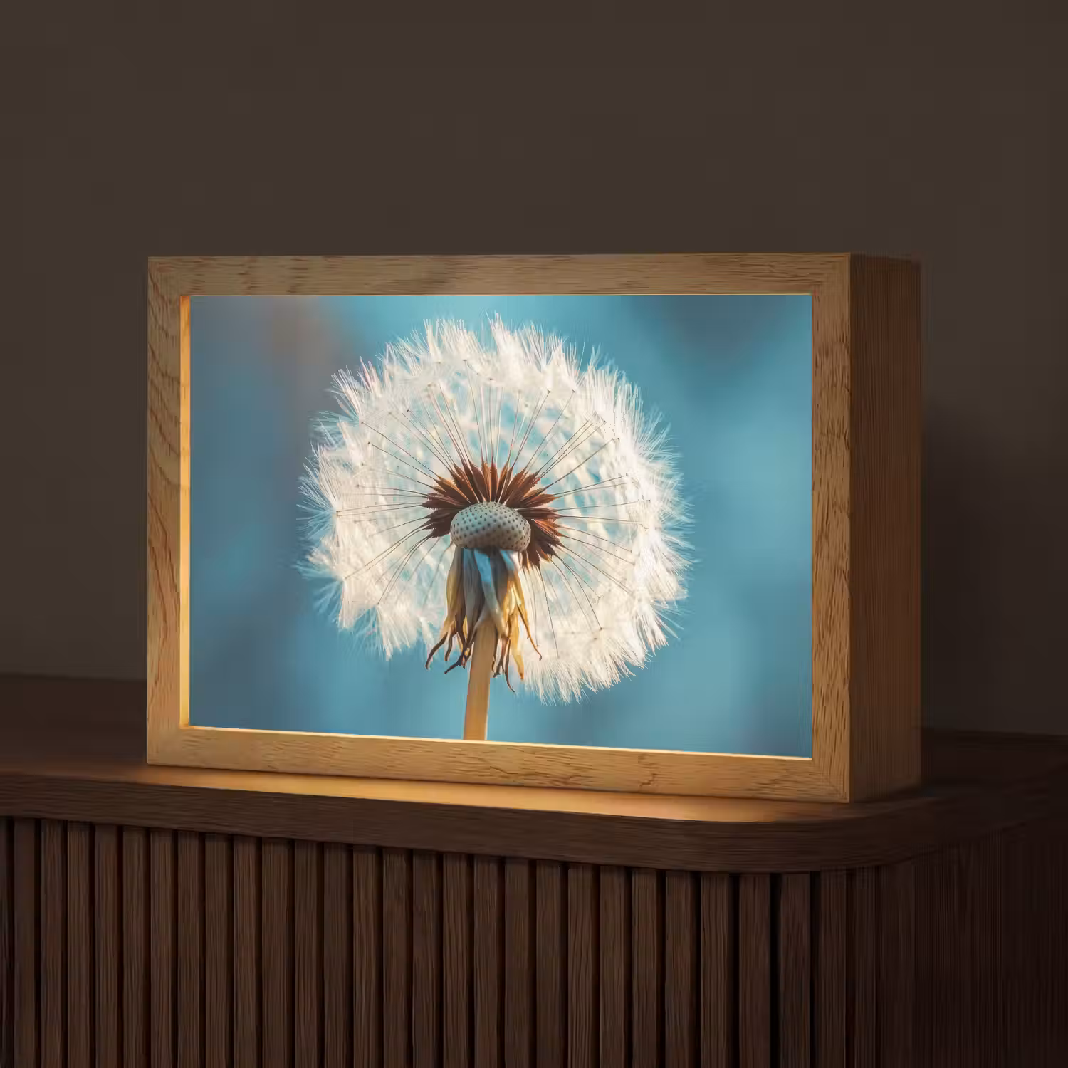 Paardenbloem - Natuur - Bloemen - Blauw Light Box met kabel (Tafellamp) klein -z3d_website