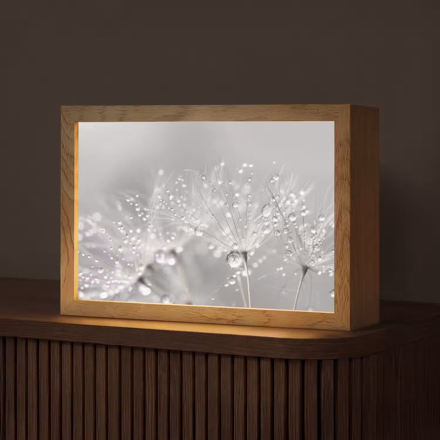 Paardenbloem - Waterdruppels - Stilleven - Modern Light Box met kabel (Tafellamp) klein -z3d_website