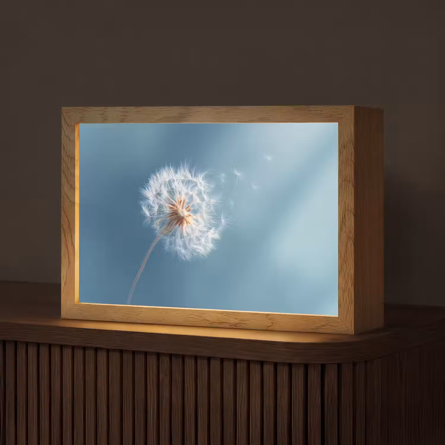 Paardenbloem - Wind - Blauw Light Box met kabel (Tafellamp) klein -z3d_website