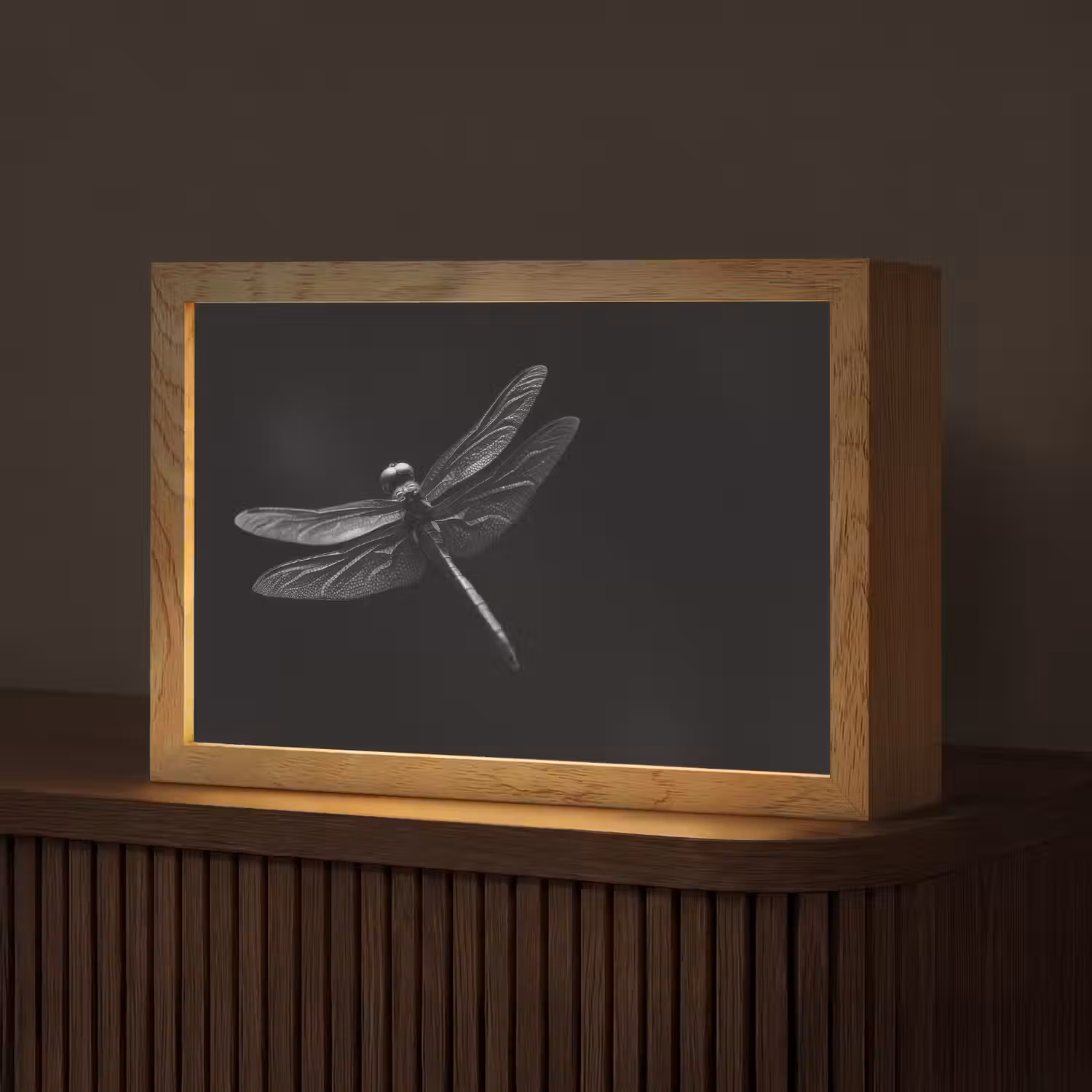 Libelle - Dieren - Zwart - Insect Light Box met kabel (Tafellamp) klein -z3d_website