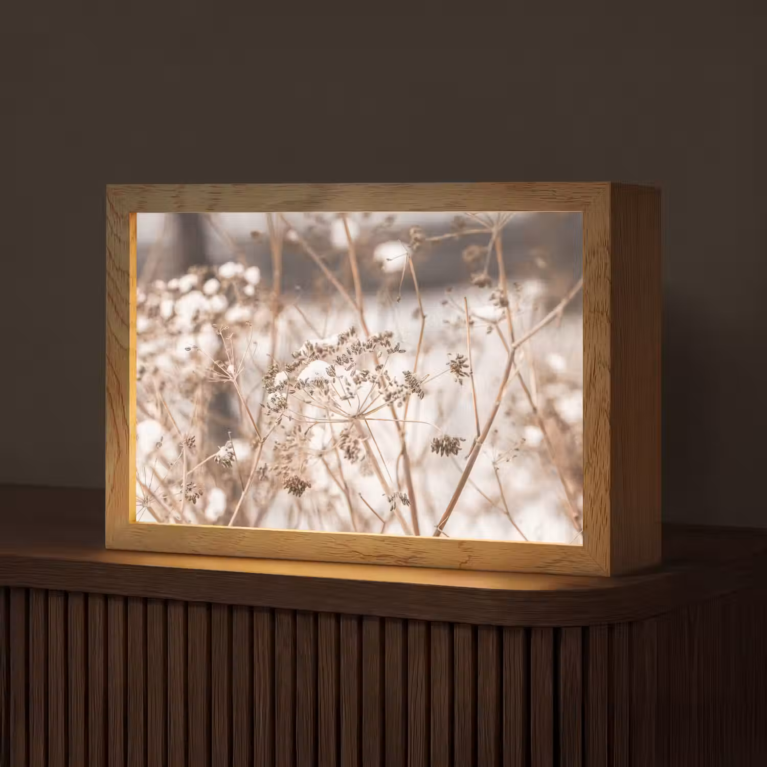 Droogbloemen - Wit - Planten Light Box met kabel (Tafellamp) klein -z3d_website