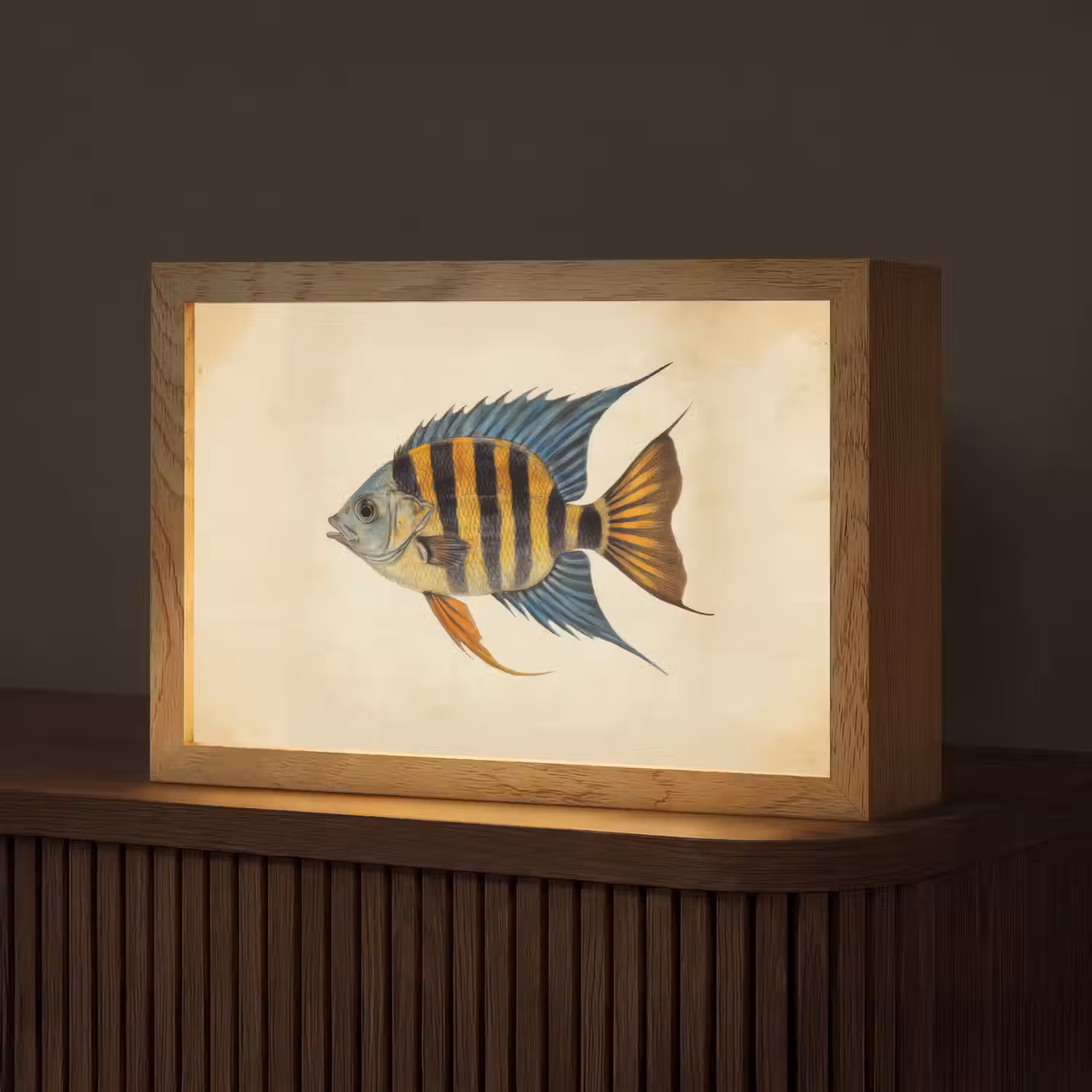 Vis - Tropisch - Strepen - Vinnen Light Box met kabel (Tafellamp) klein -z3d_website