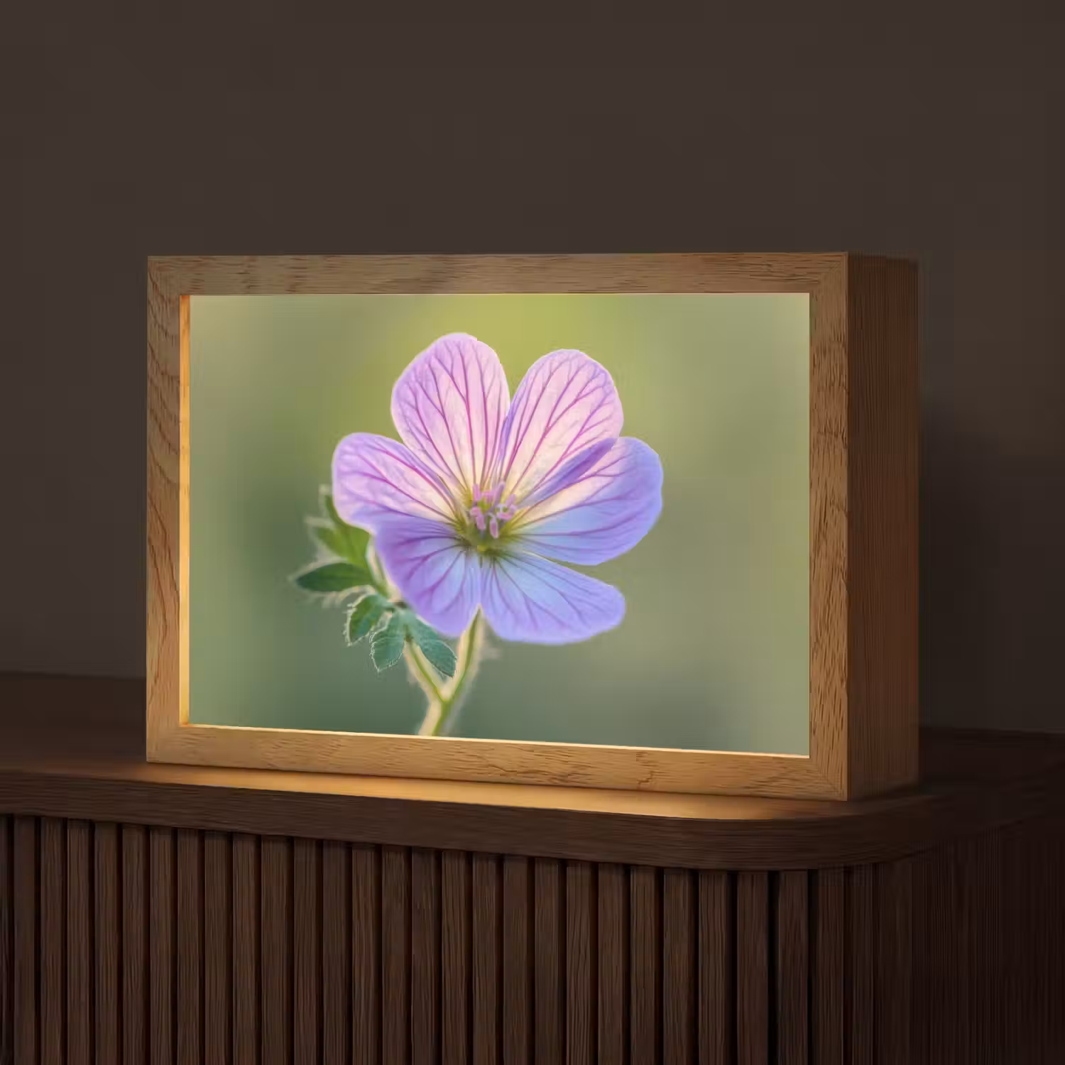 Bloem - Close up - Paars Light Box met kabel (Tafellamp) klein -z3d_website