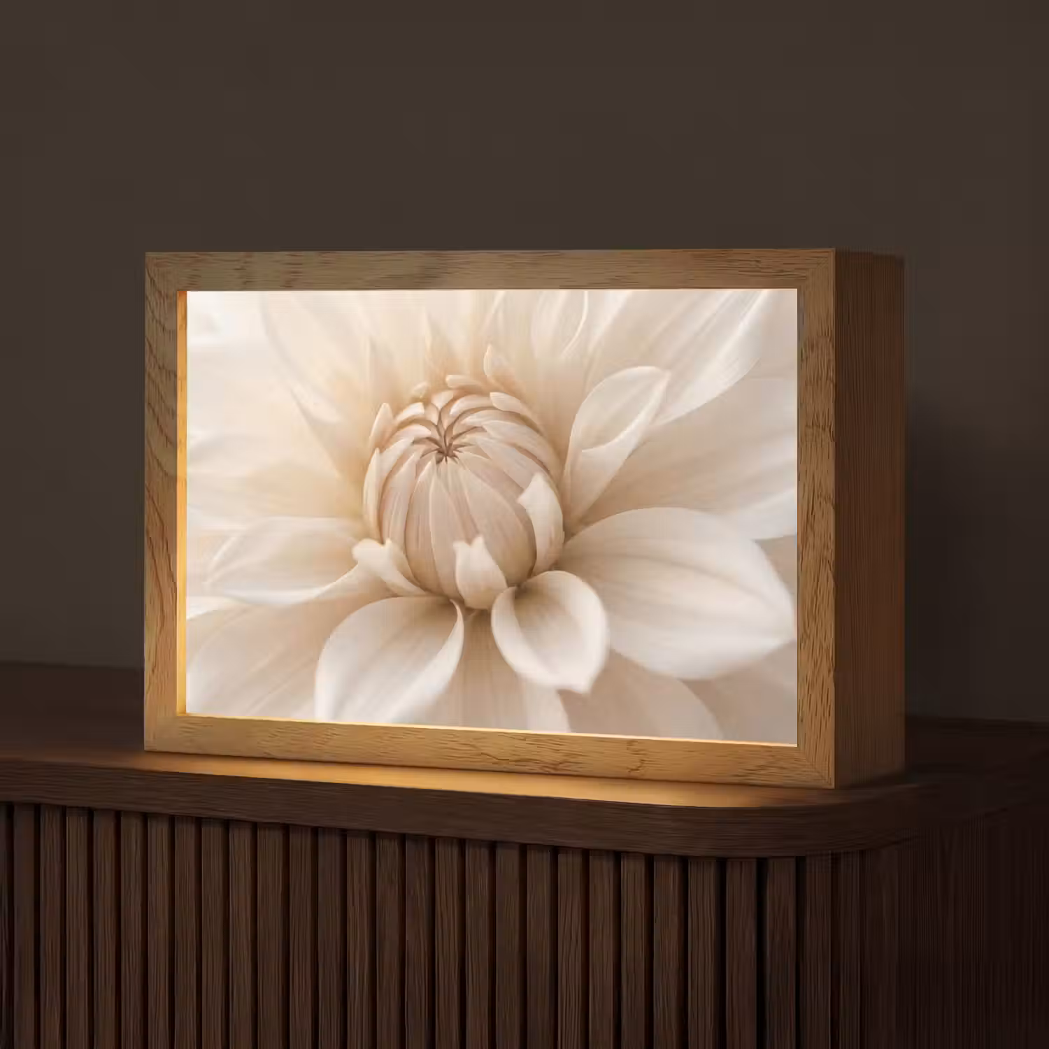 Bloem - Dahlia - Wit Light Box met kabel (Tafellamp) klein -z3d_website