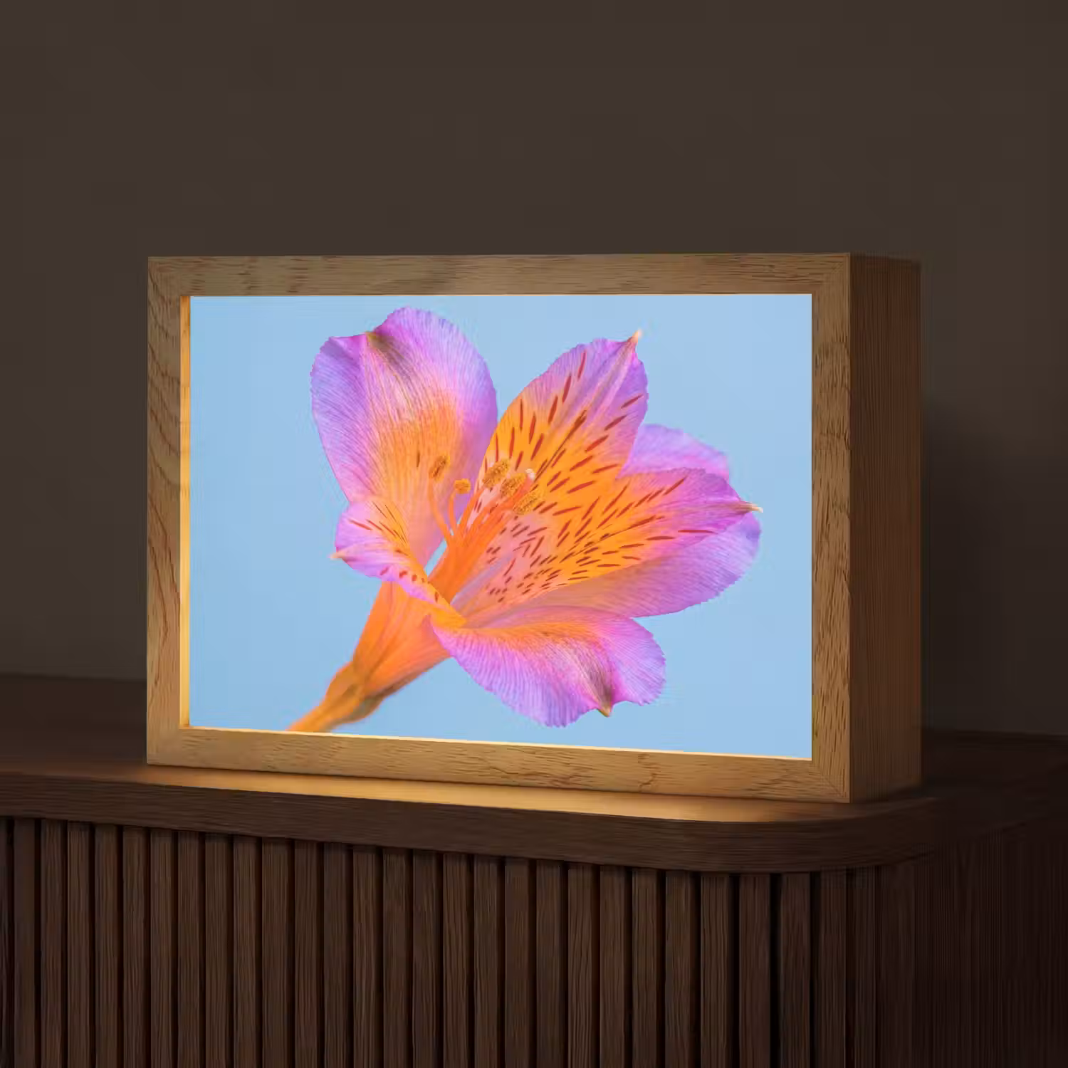 Bloem - Detail - Kleurrijk Light Box met kabel (Tafellamp) klein -z3d_website
