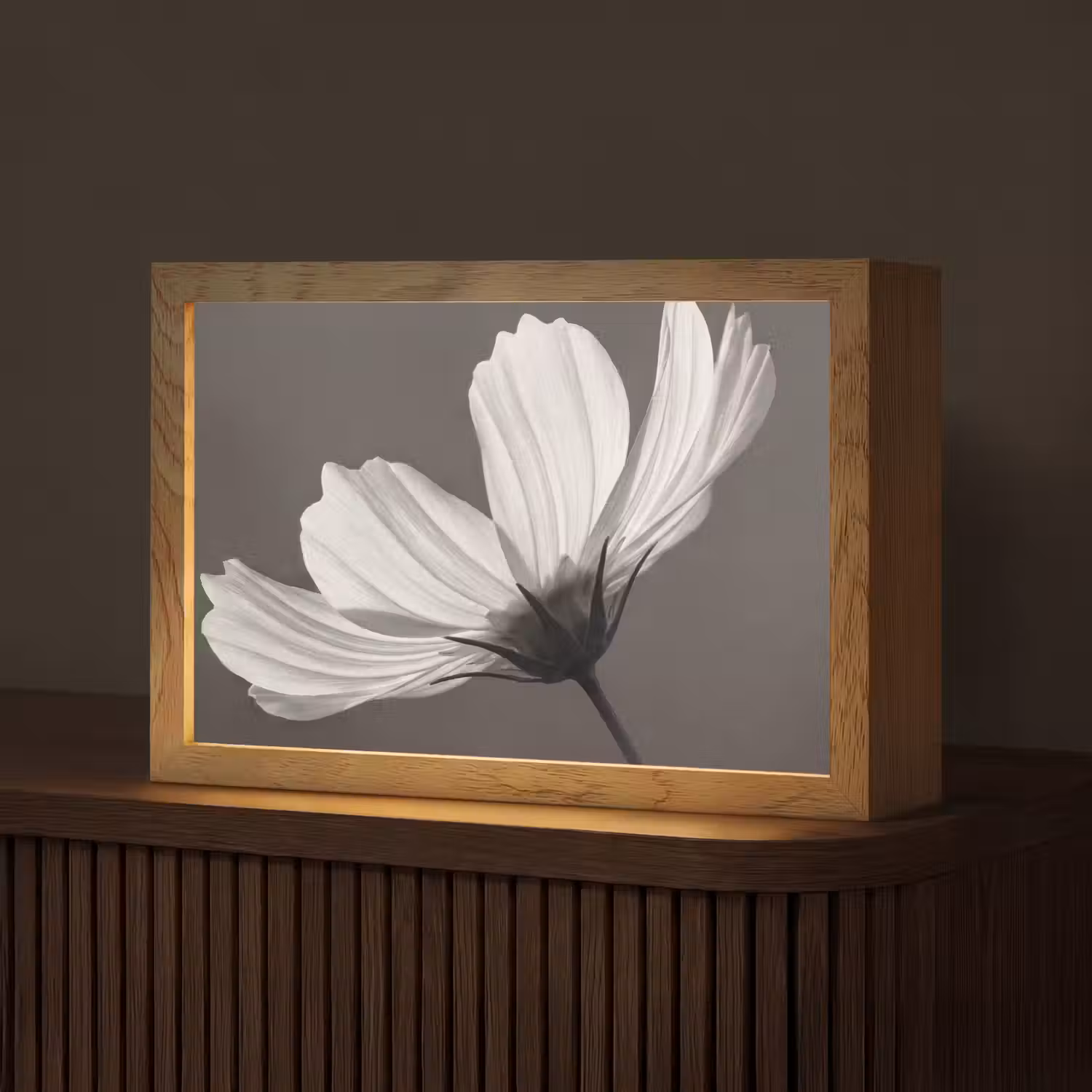 Bloem - Minimalistisch - Zwart - Wit Light Box met kabel (Tafellamp) klein -z3d_website
