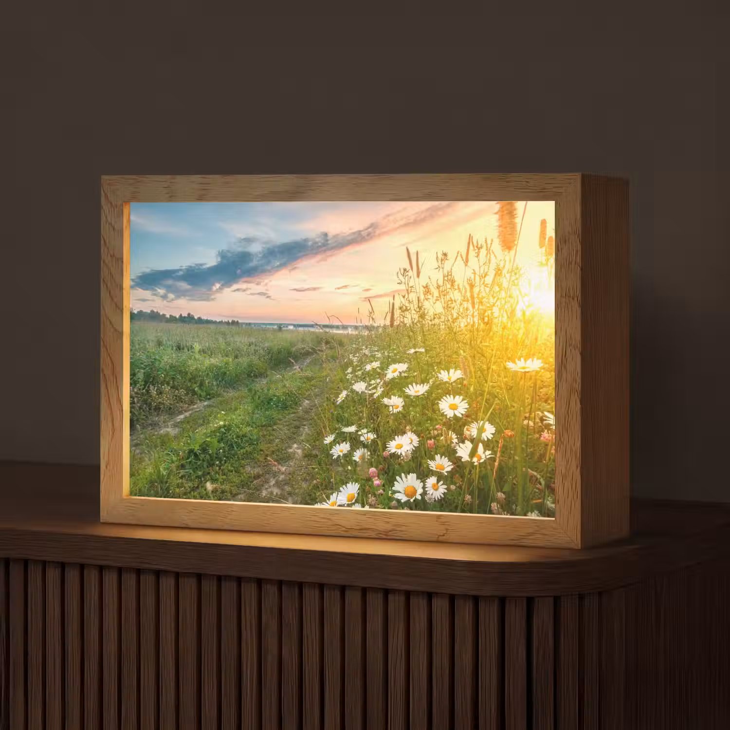 Bloemen - Madelief - Natuur - Zon - Horizon Light Box met kabel (Tafellamp) klein -z3d_website