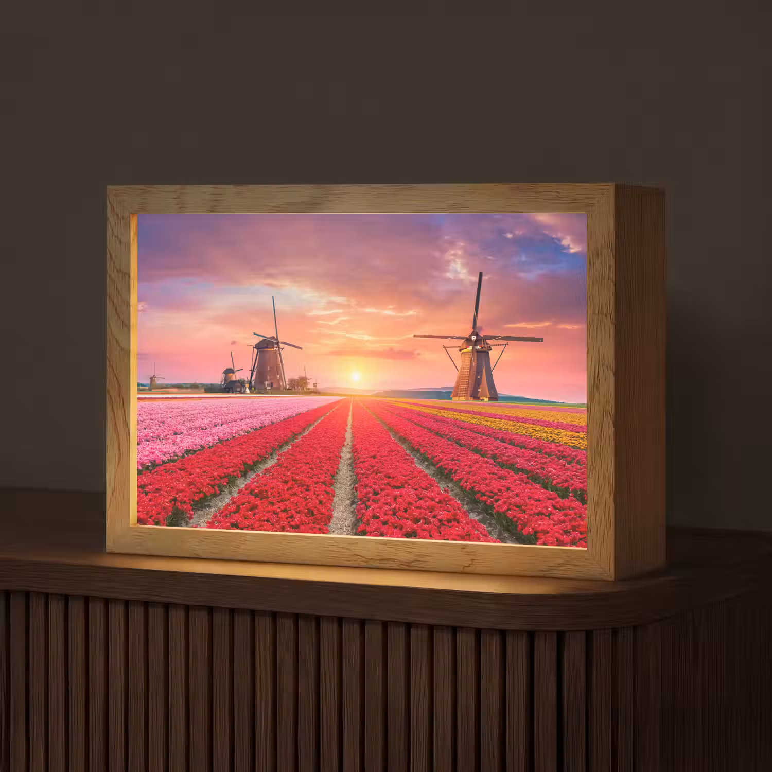 Bloemen - Tulpen - Bloemenveld - Molens - Holland Light Box met kabel (Tafellamp) klein -z3d_website