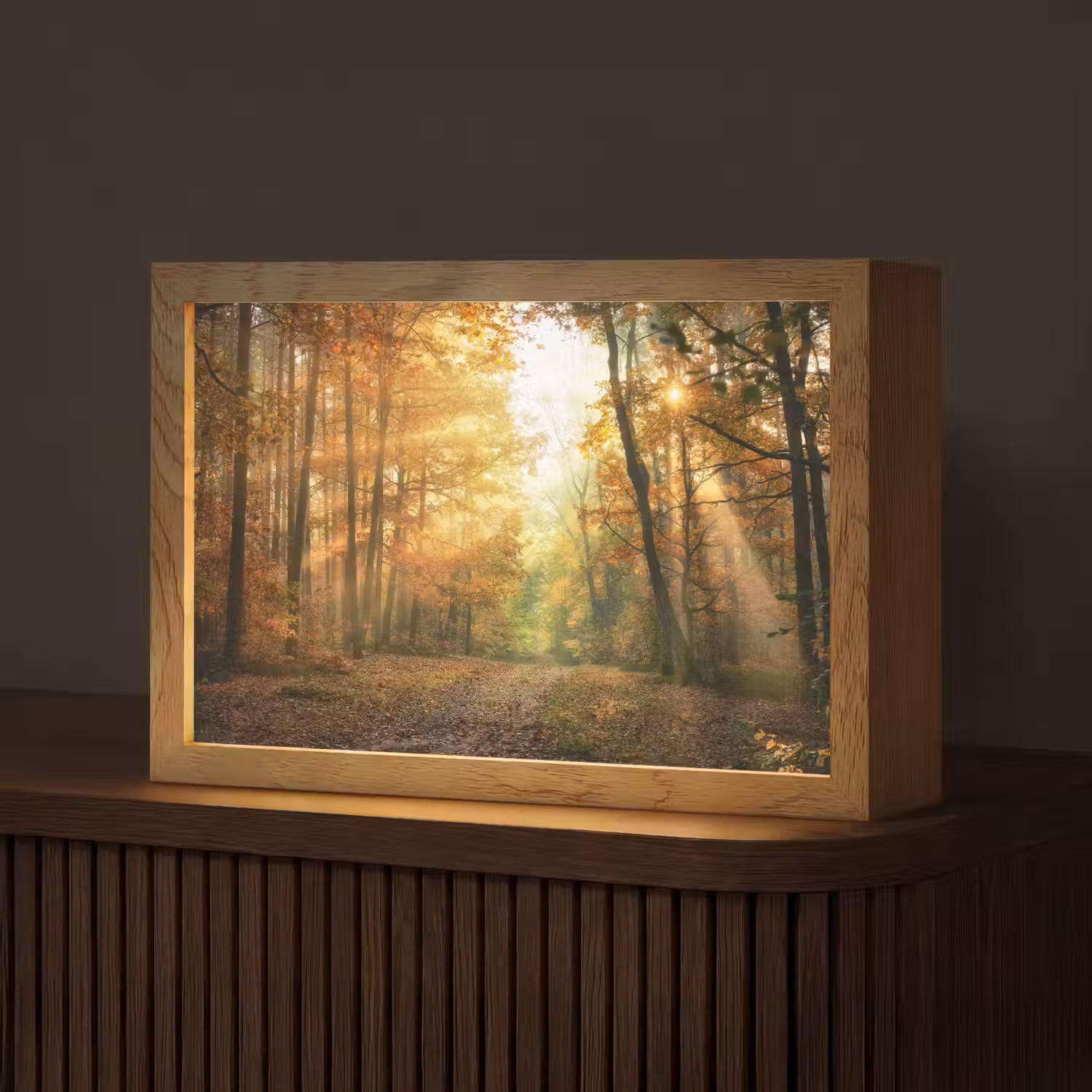 Bos - Herfst - Zon - Landschap - Natuur - Bomen - Bladeren Light Box met kabel (Tafellamp) klein -z3d_website