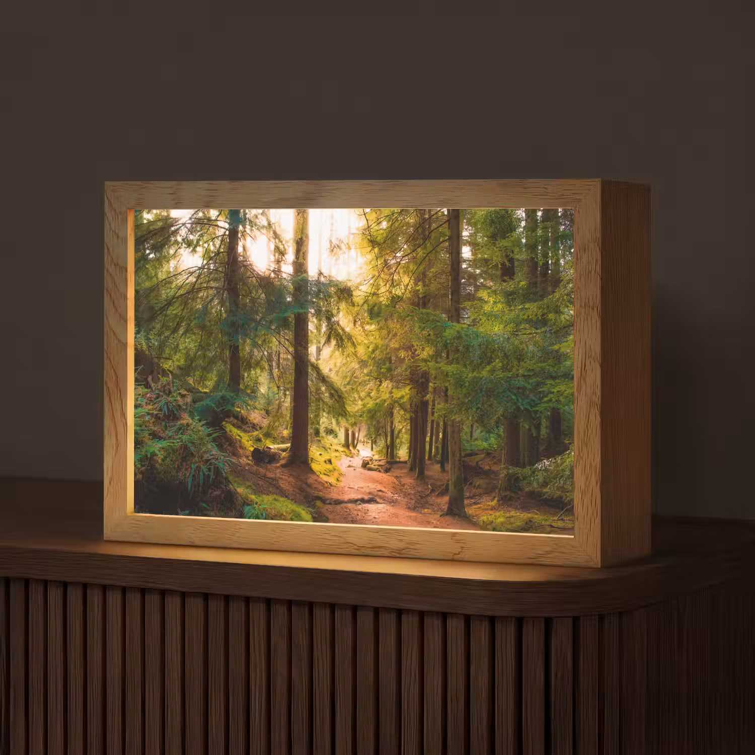 Bos - Pad - Bomen - Groen - Zon - Natuur Light Box met kabel (Tafellamp) klein -z3d_website