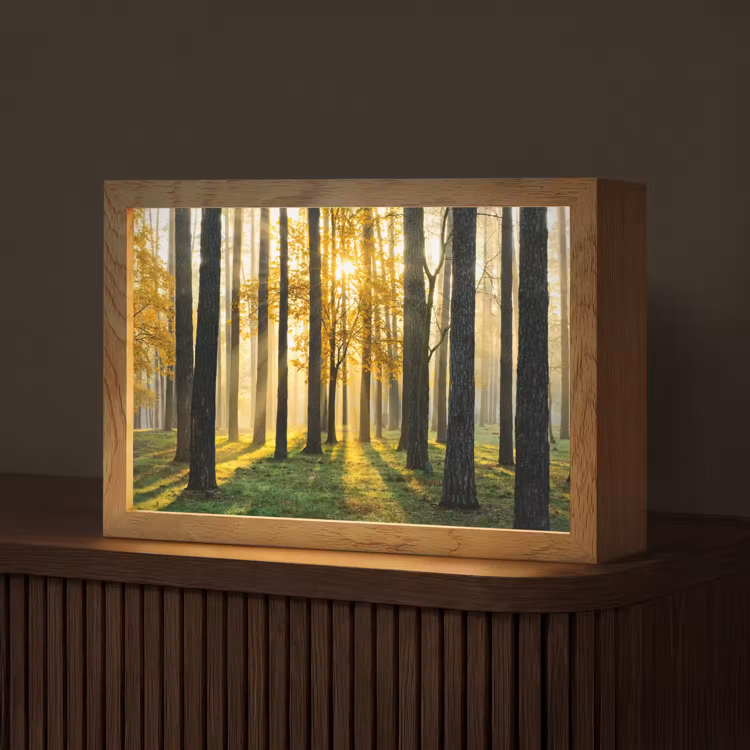 Bos - Zon - Bomen - Gras - Landschap - Natuur Light Box met kabel (Tafellamp) klein -z3d_website