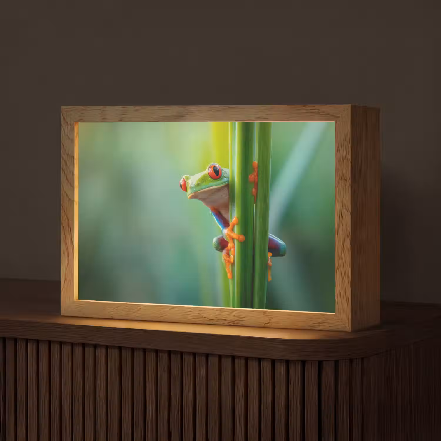 Groene kikker - Nieuwsgierig - Gras Light Box met kabel (Tafellamp) klein -z3d_website