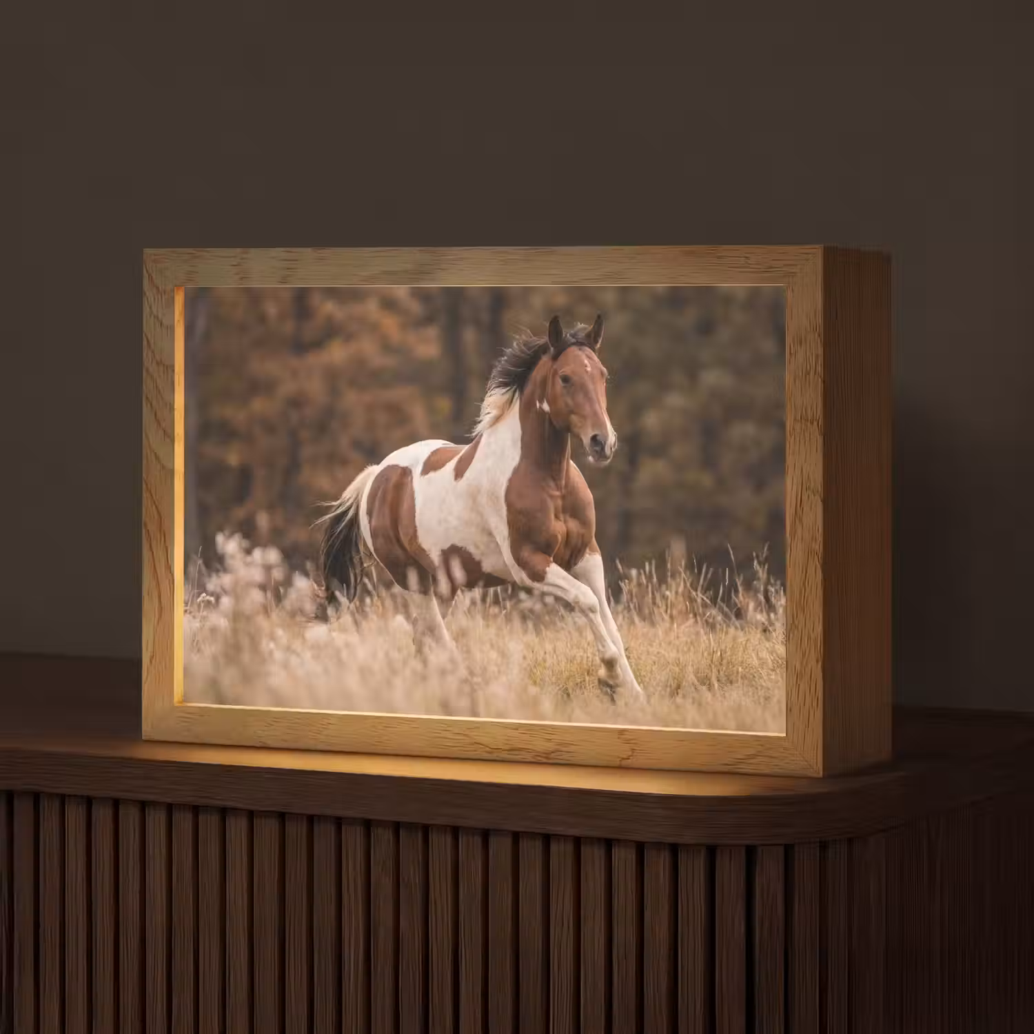 Paard - Bruin - Gras Light Box met kabel (Tafellamp) klein -z3d_website