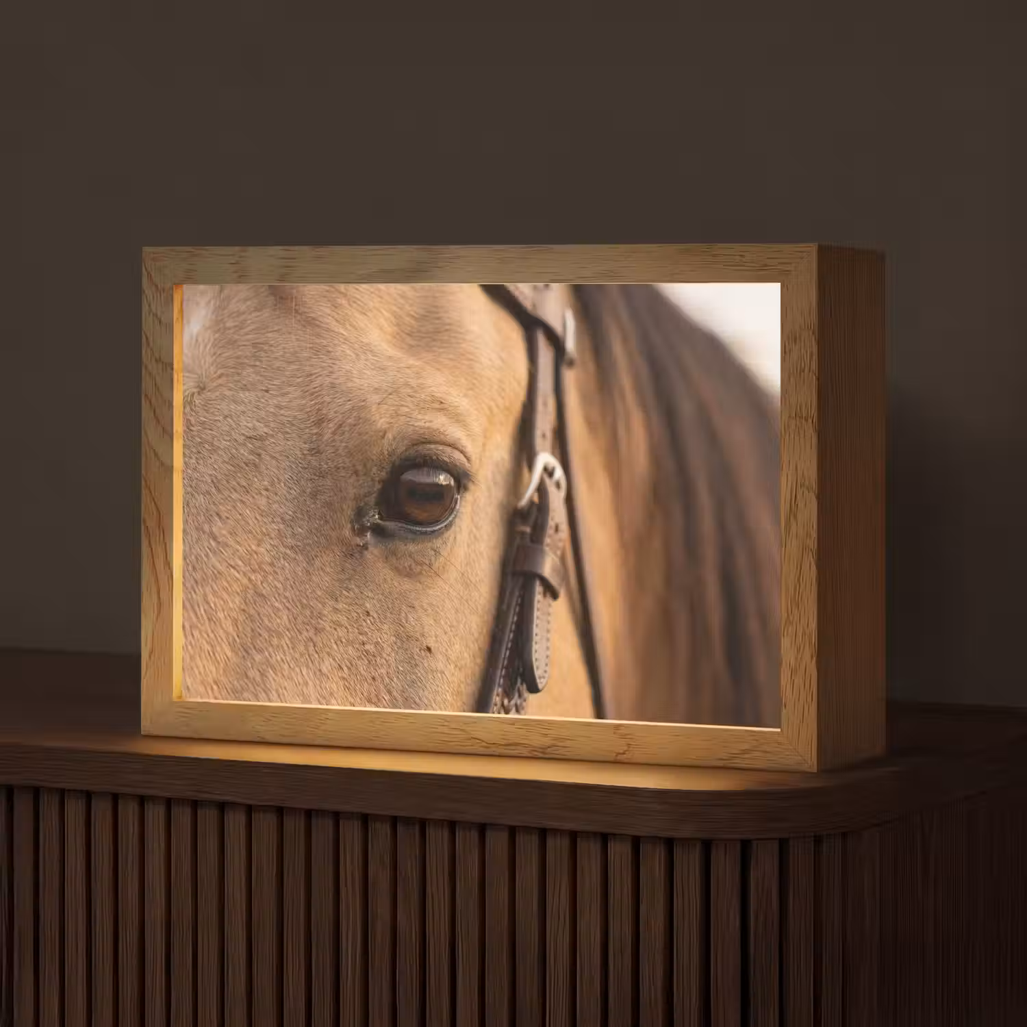 Paard - Oog - Bruin Light Box met kabel (Tafellamp) klein -z3d_website