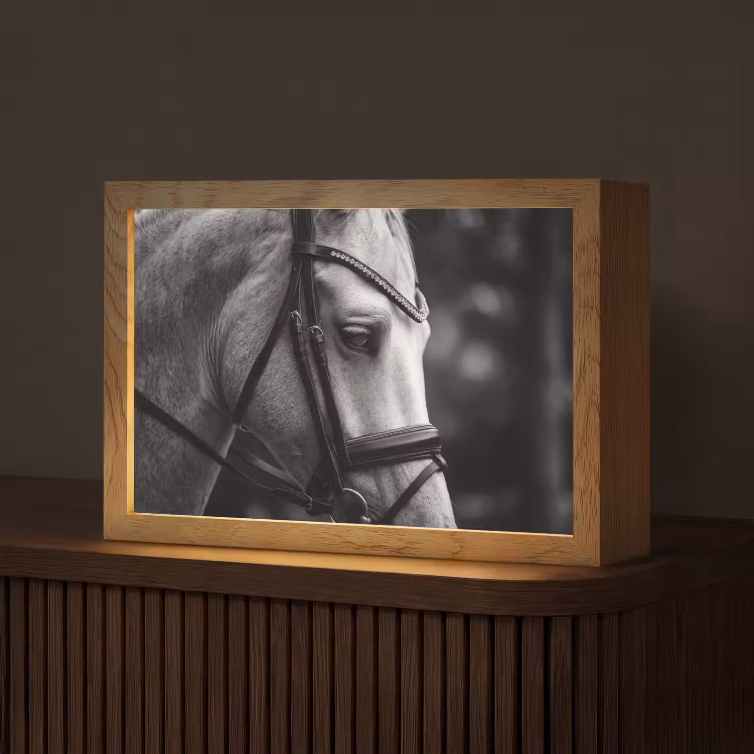 Paard - Schimmel - Portret Light Box met kabel (Tafellamp) klein -z3d_website