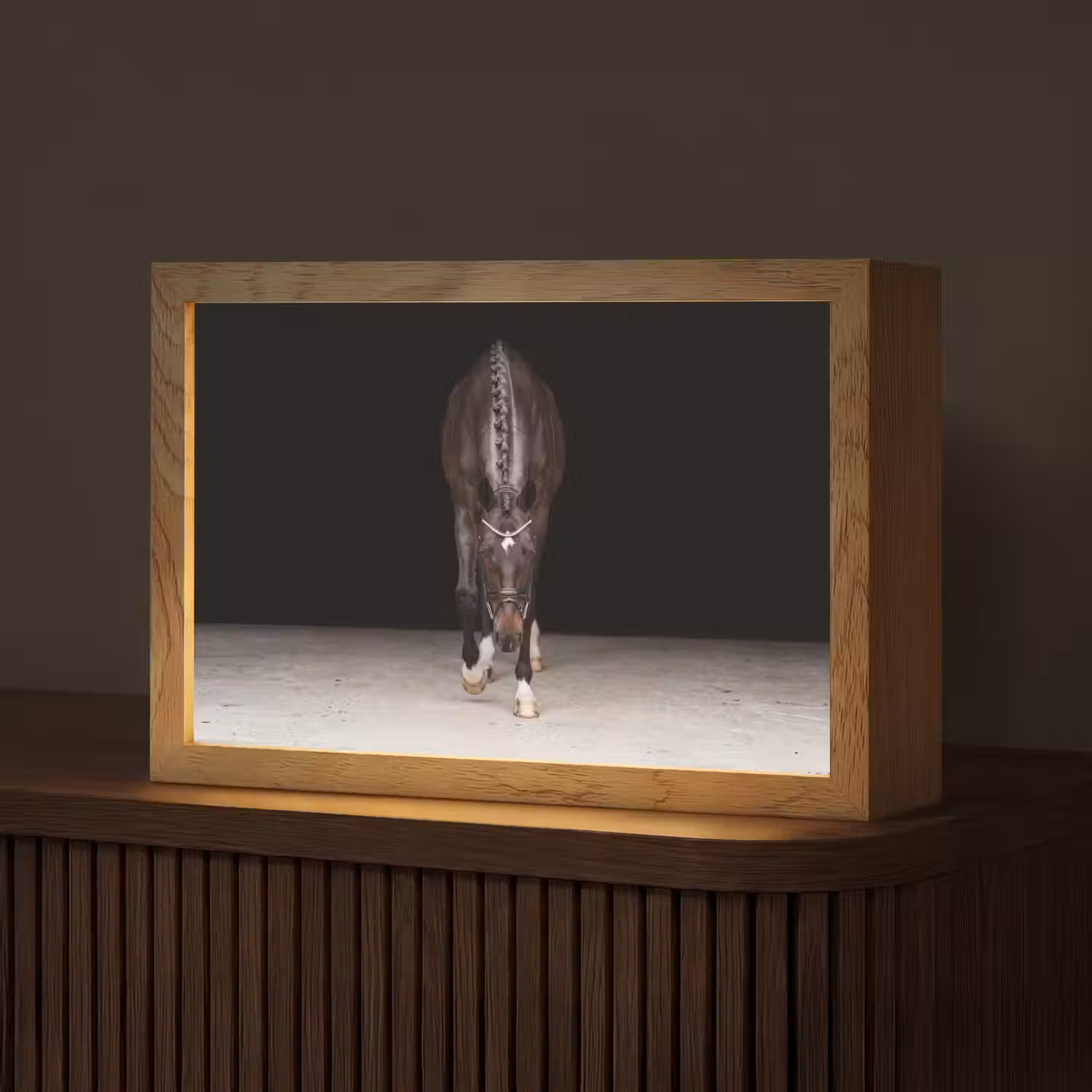 Paard - Modern - Portret Light Box met kabel (Tafellamp) klein -z3d_website