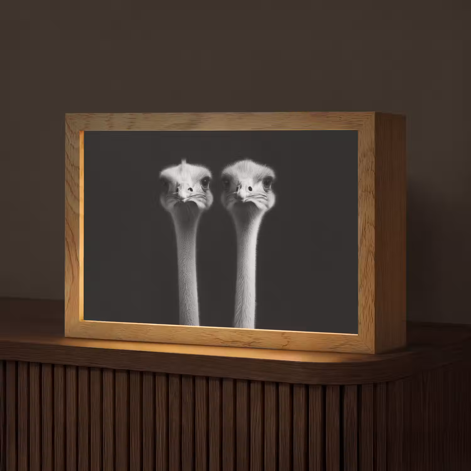 Struisvogels - Halzen - Zwart - Minimalistisch Light Box met kabel (Tafellamp) klein -z3d_website