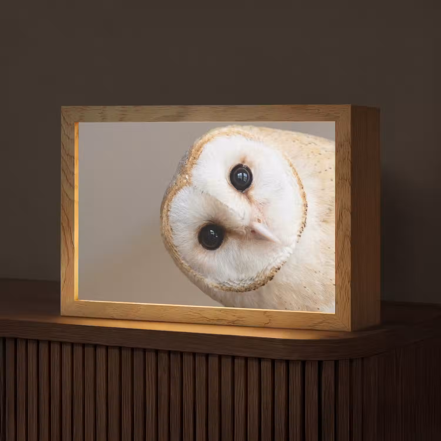 Uil - Bruin - Wit Light Box met kabel (Tafellamp) klein -z3d_website