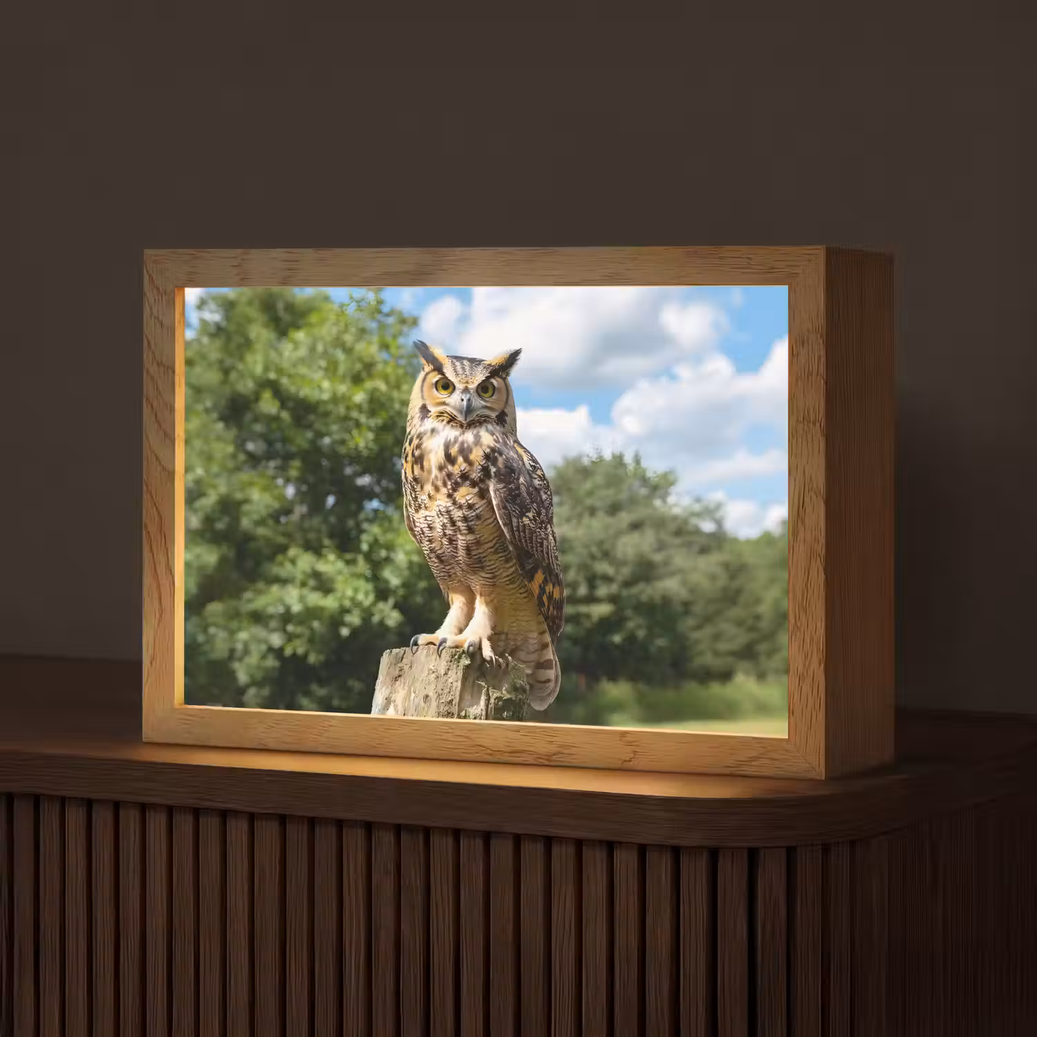Uil - Boomstronk - Bos - Lucht Light Box met kabel (Tafellamp) klein -z3d_website