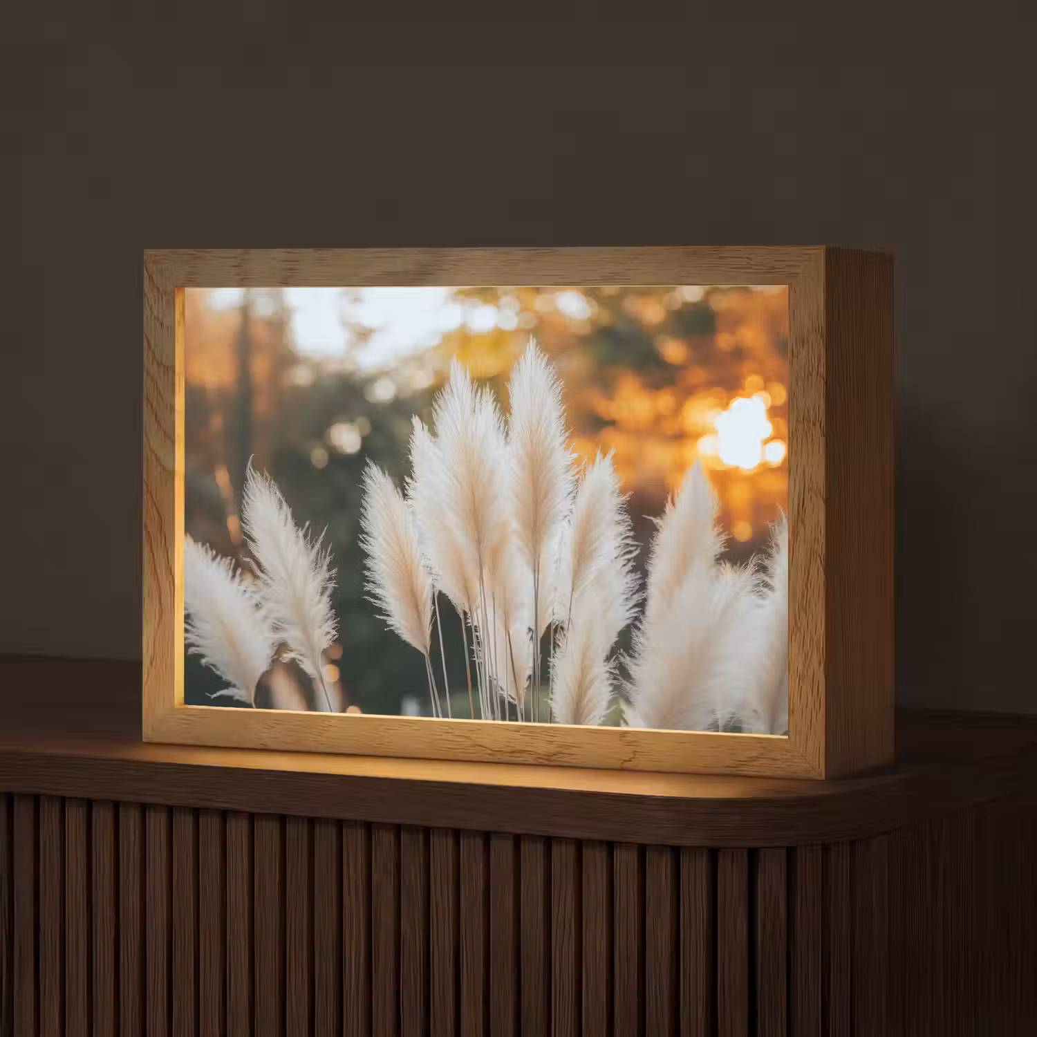 Pampasgras - Pluimen - Sierlijk Light Box met kabel (Tafellamp) klein -z3d_website