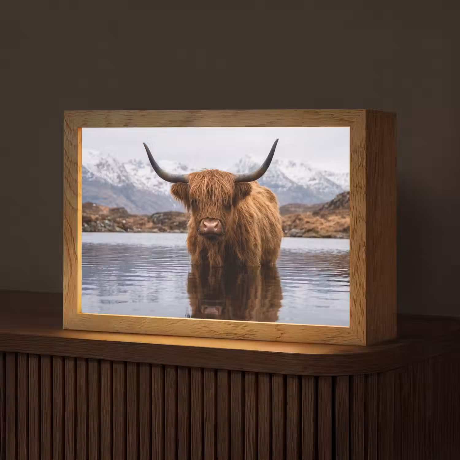 Schotse hooglander - Bruin - Water Light Box met kabel (Tafellamp) klein -z3d_website