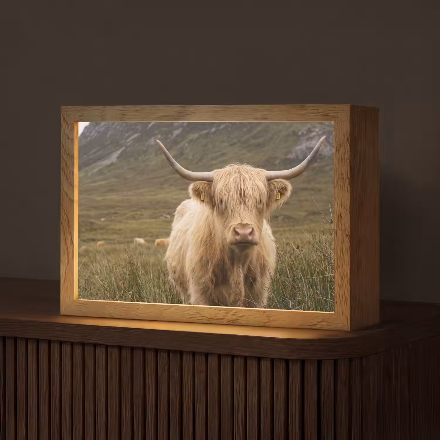 Schotse hooglander - Bergen - Grasveld Light Box met kabel (Tafellamp) klein -z3d_website